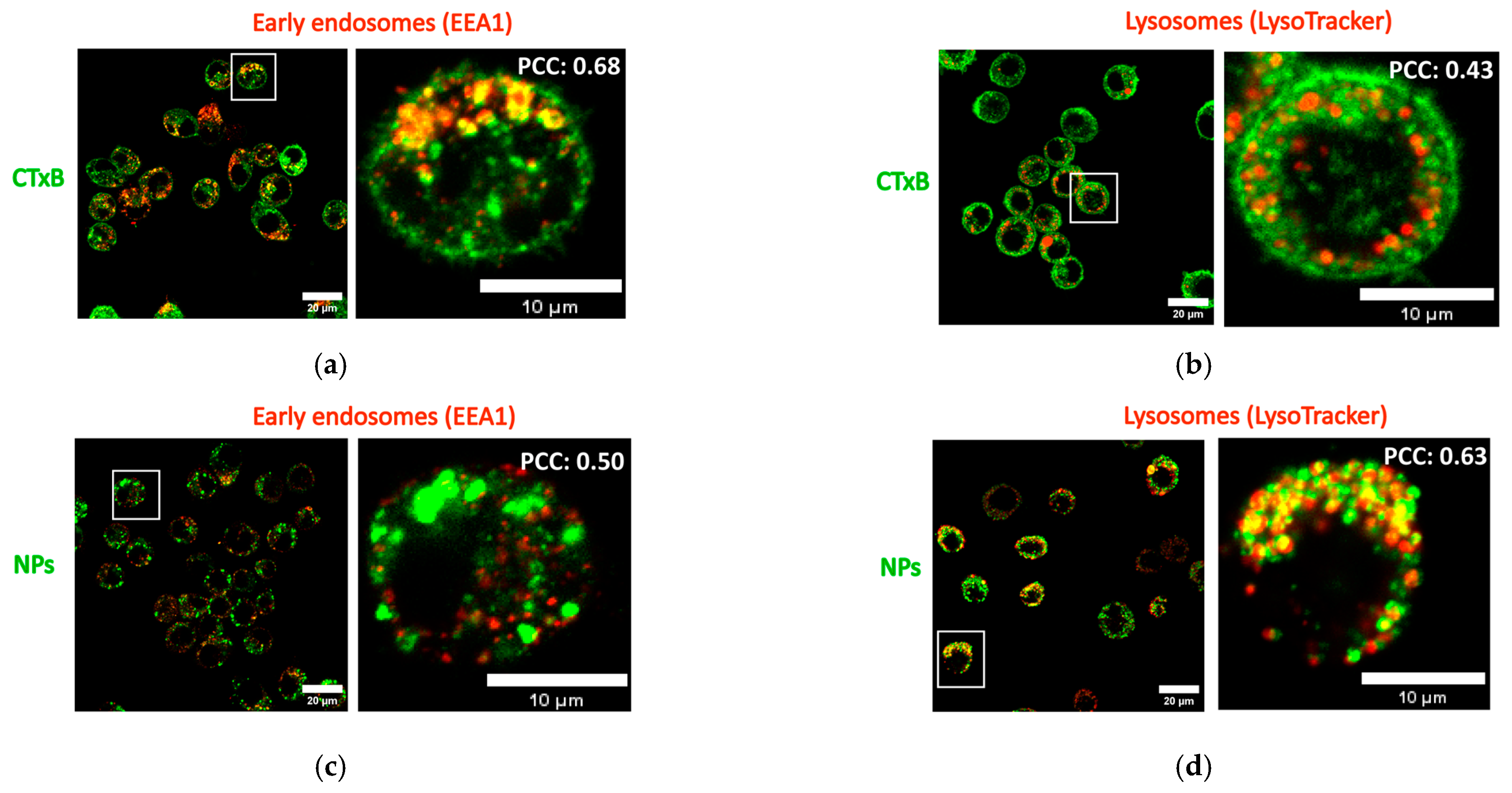 Toxins 15 00482 g006 Toxins 15 00482 g006