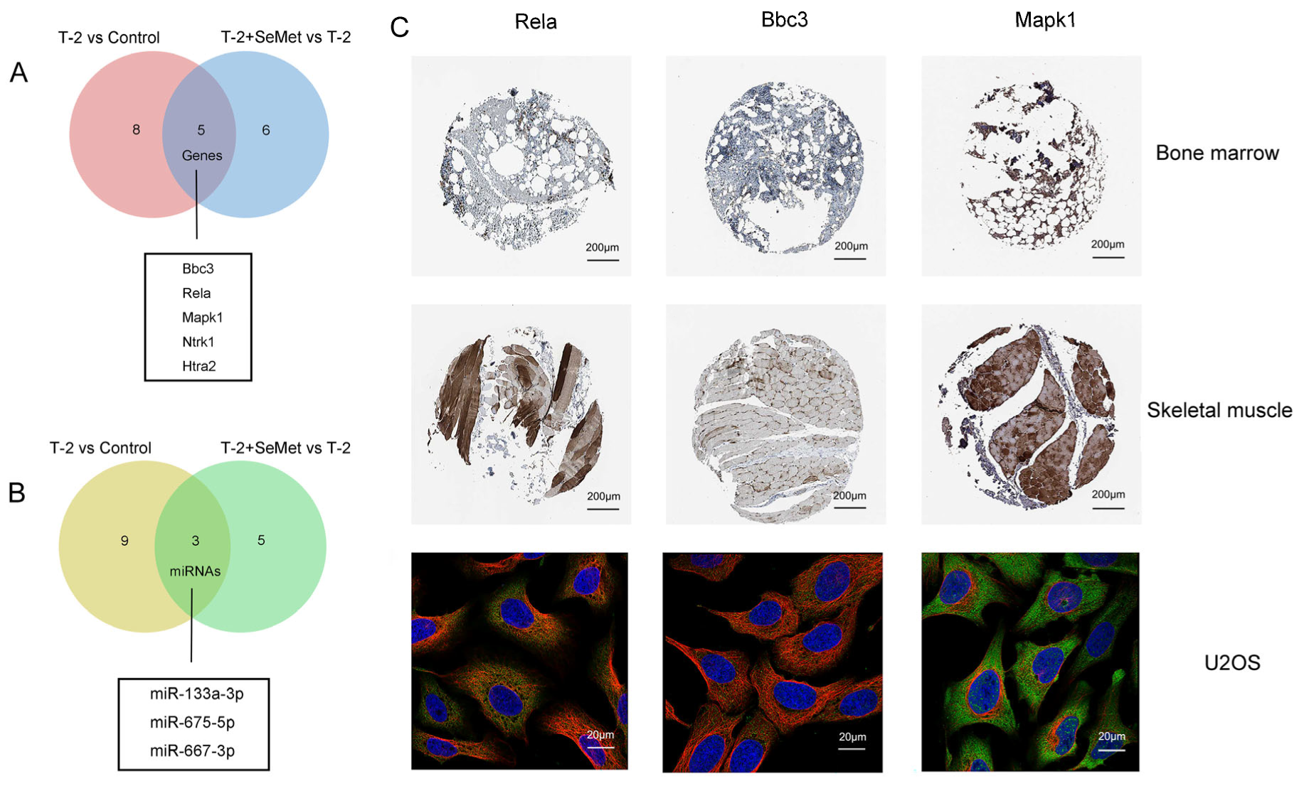 Toxins 15 00496 g005