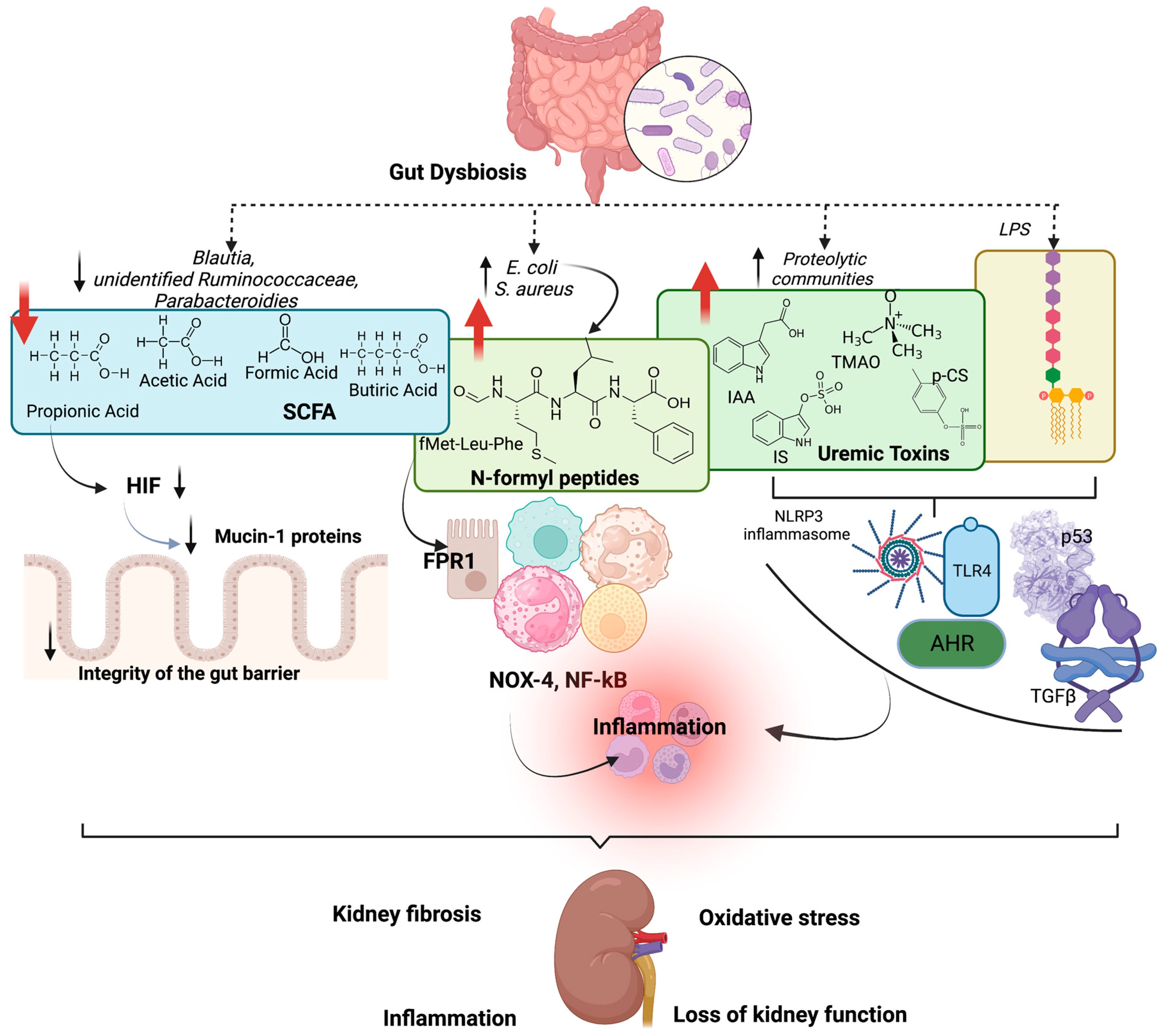Toxins 15 00499 g001 Toxins 15 00499 g001