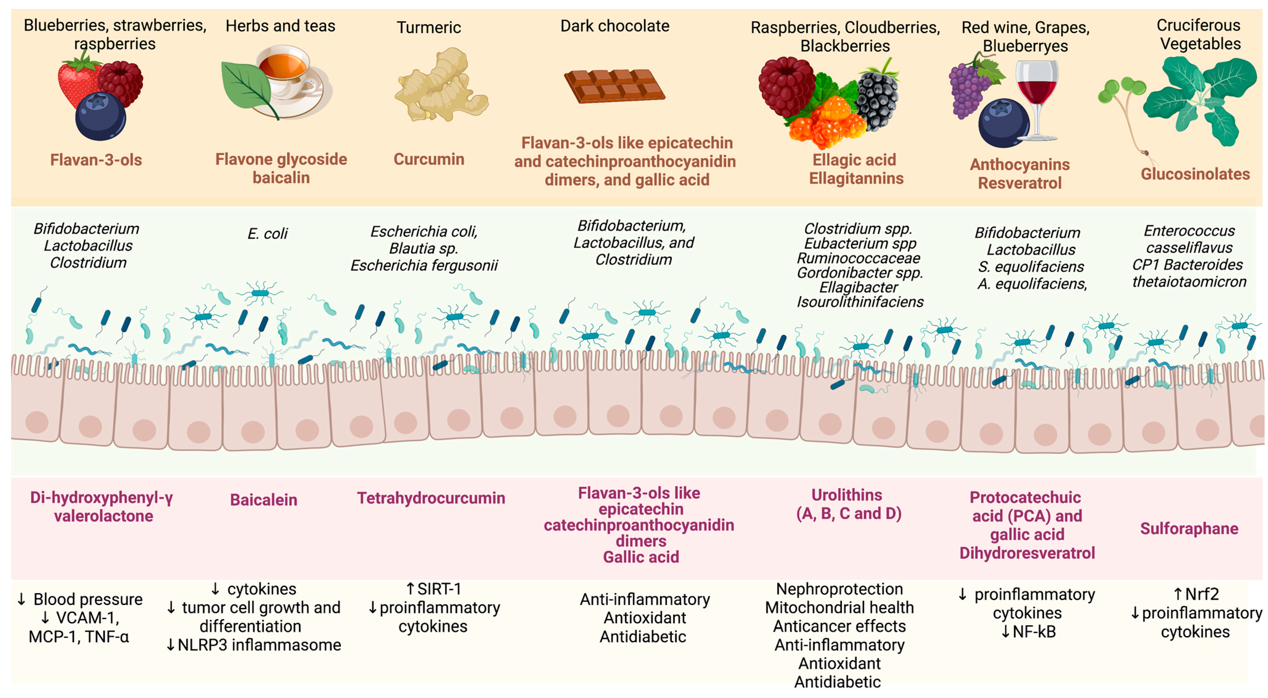 Toxins 15 00499 g002 Toxins 15 00499 g002