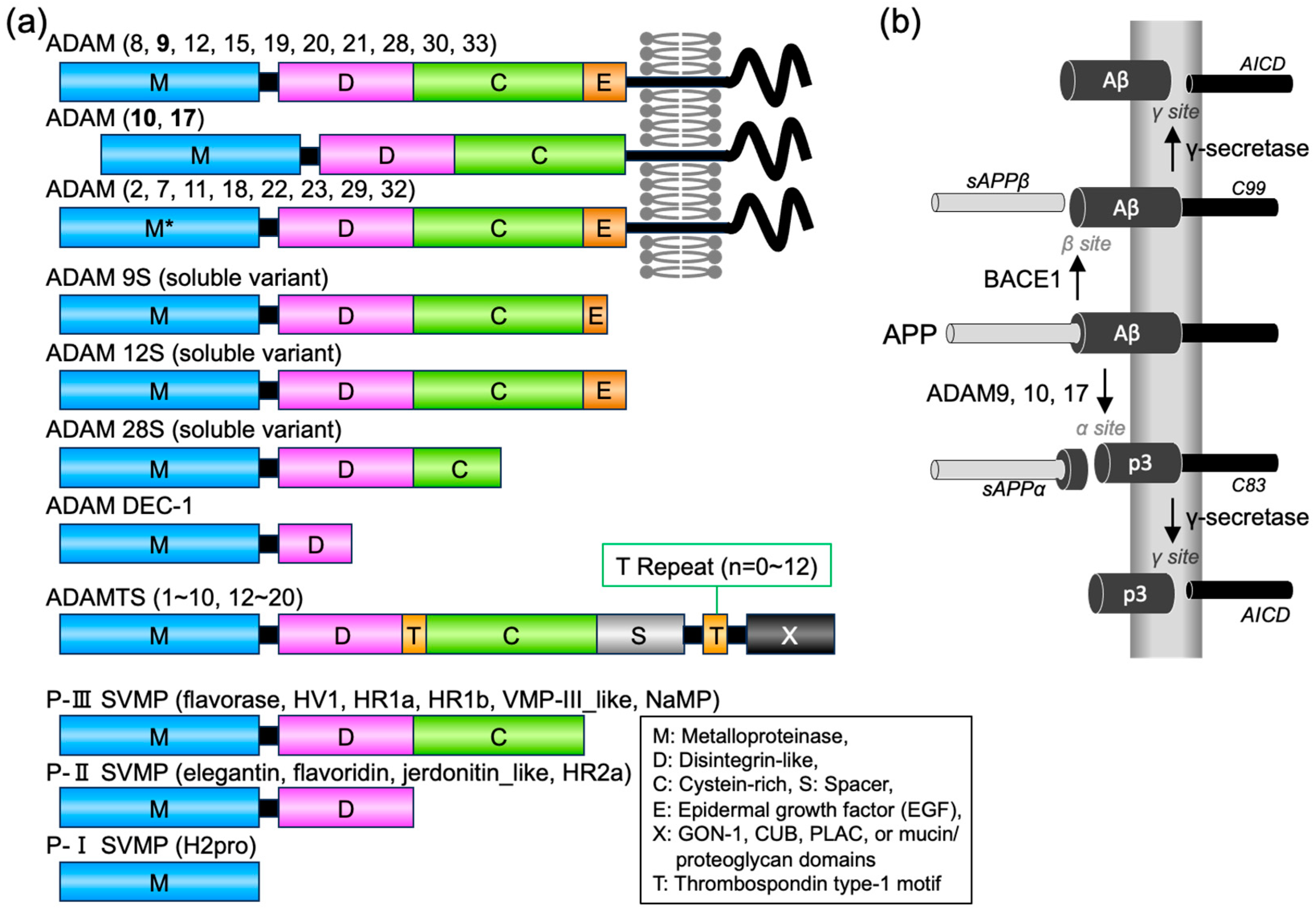 Toxins 15 00500 g001 Toxins 15 00500 g001