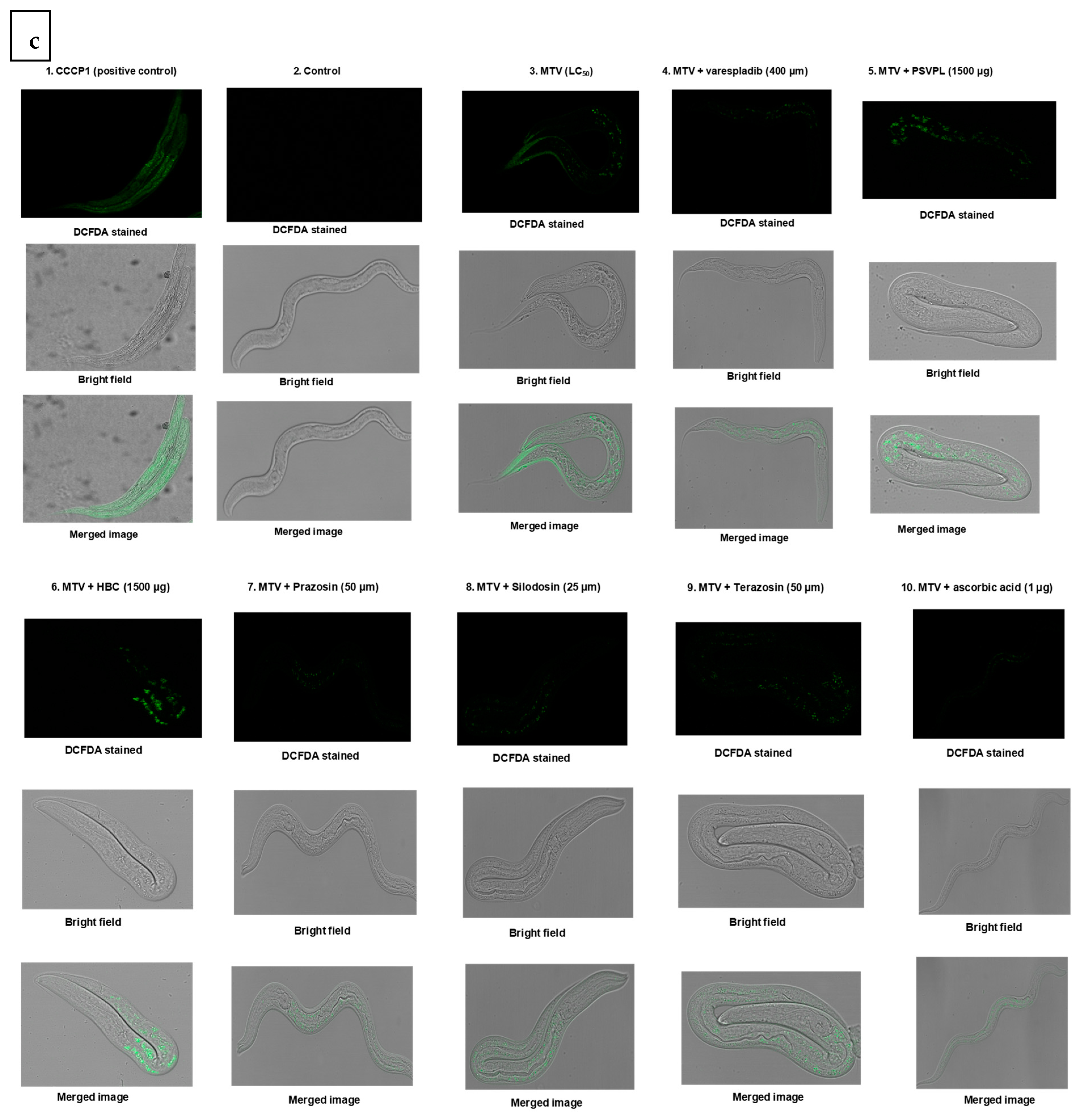Toxins 15 00504 g004b Toxins 15 00504 g004b