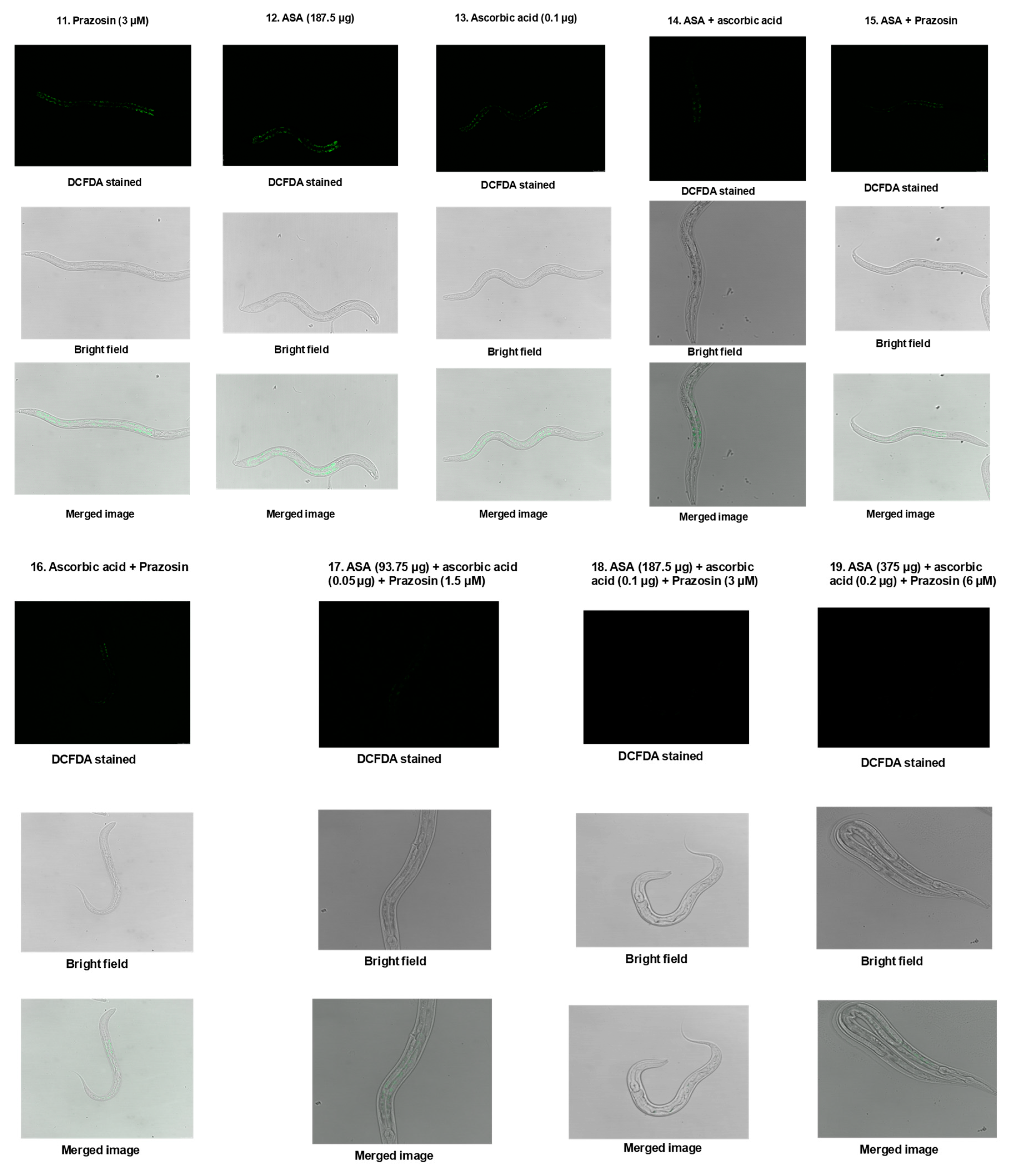 Toxins 15 00504 g004c Toxins 15 00504 g004c