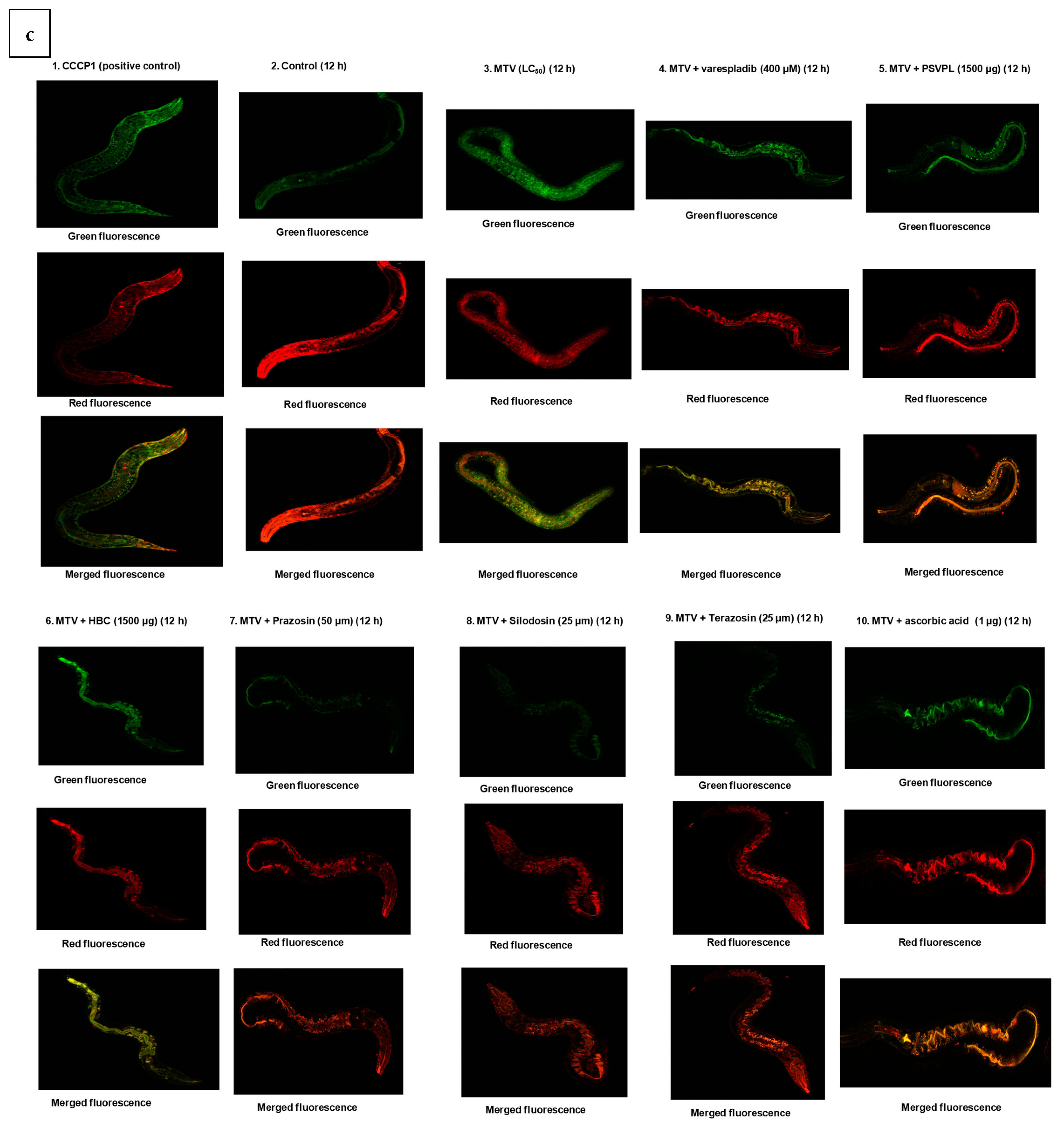 Toxins 15 00504 g005b Toxins 15 00504 g005b
