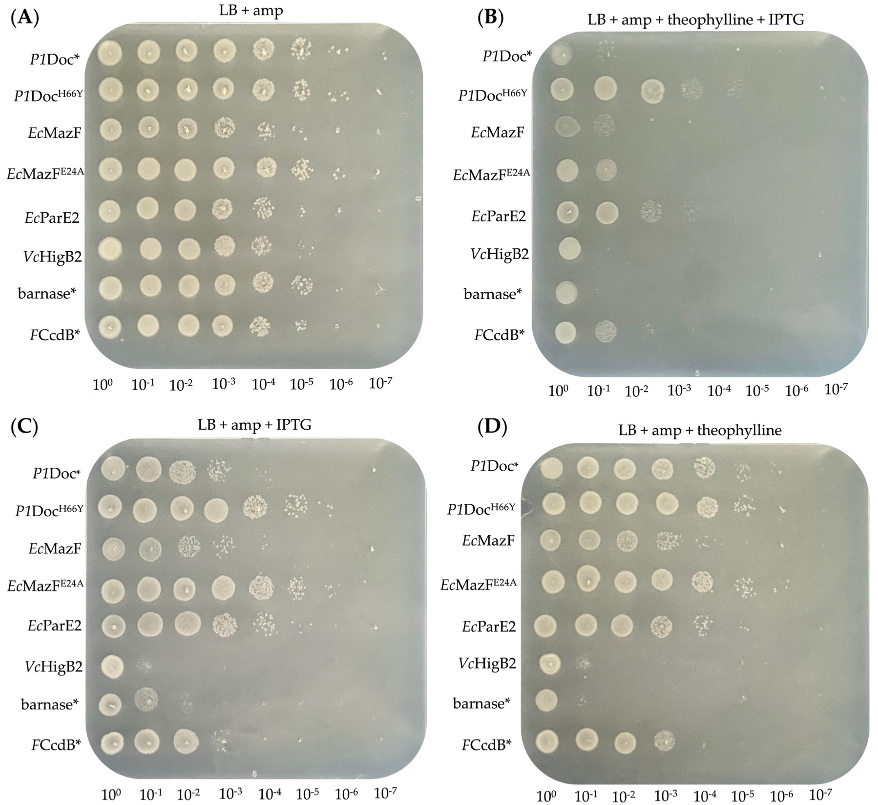 Toxins 15 00508 g004 Toxins 15 00508 g004