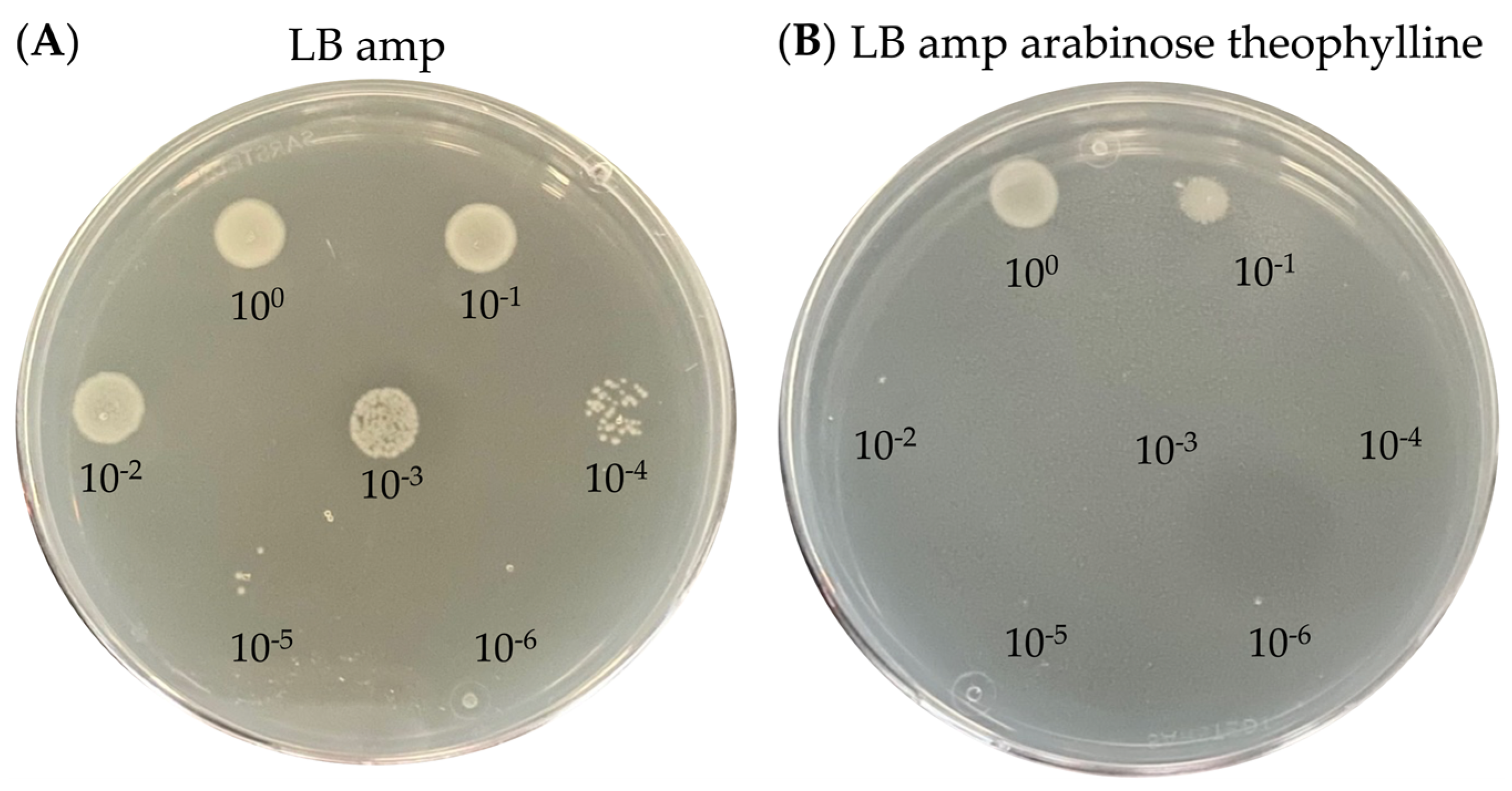 Toxins 15 00508 g006 Toxins 15 00508 g006