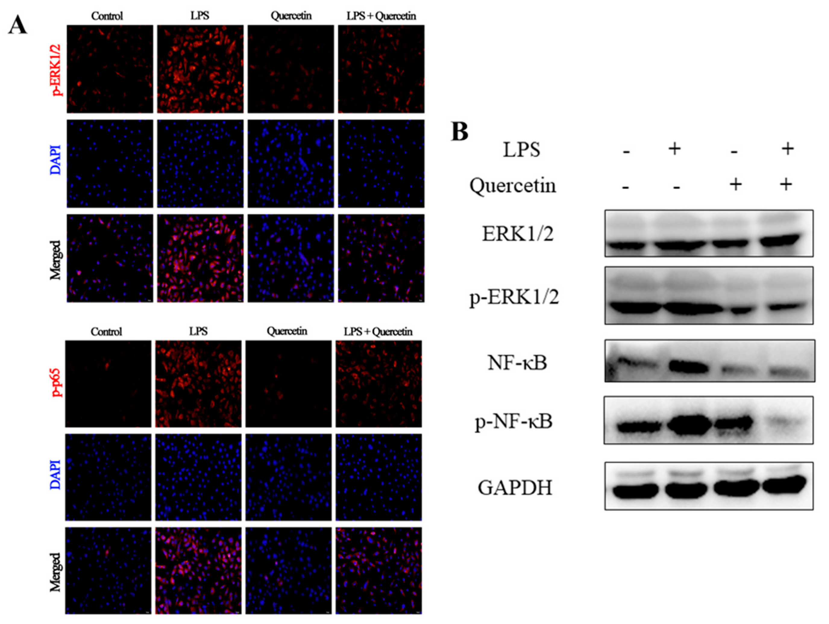 Toxins 15 00512 g008