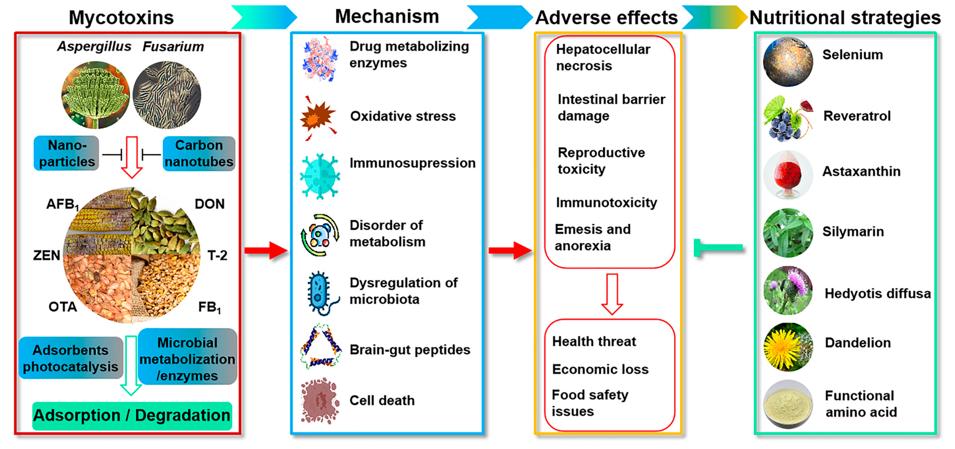 Toxins 15 00513 g001