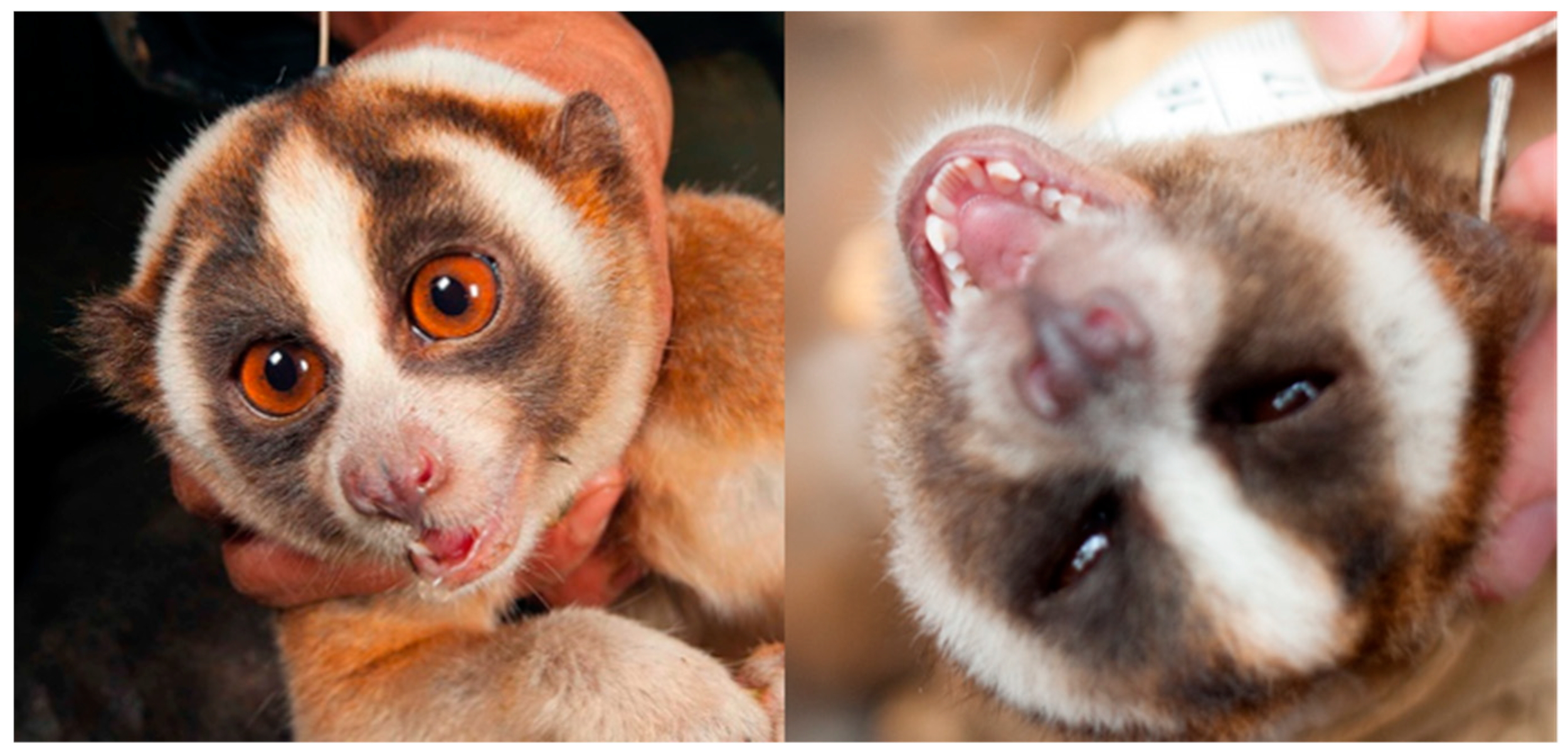 Toxins 15 00514 g004 Toxins 15 00514 g004