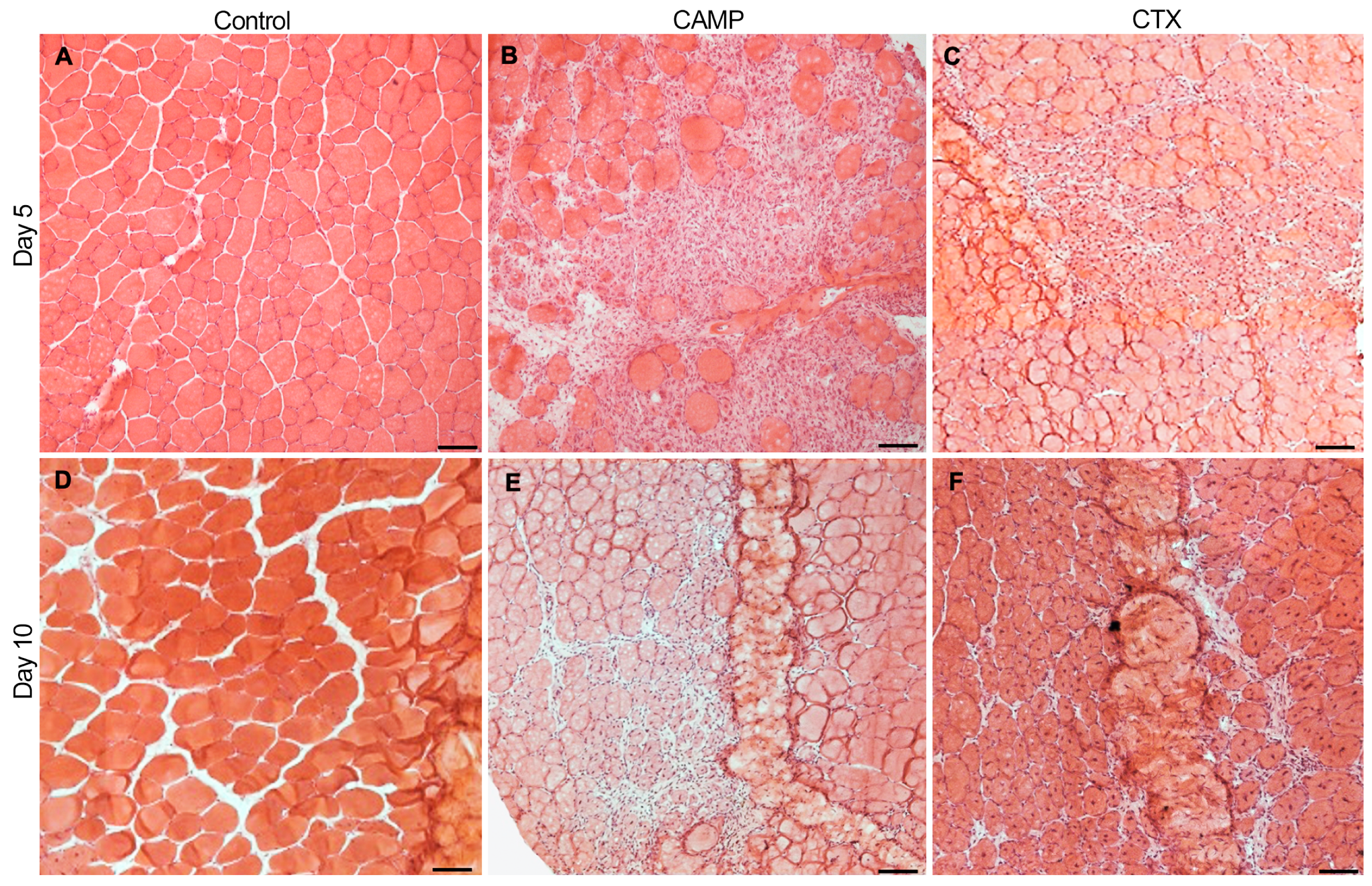 Toxins 15 00530 g001
