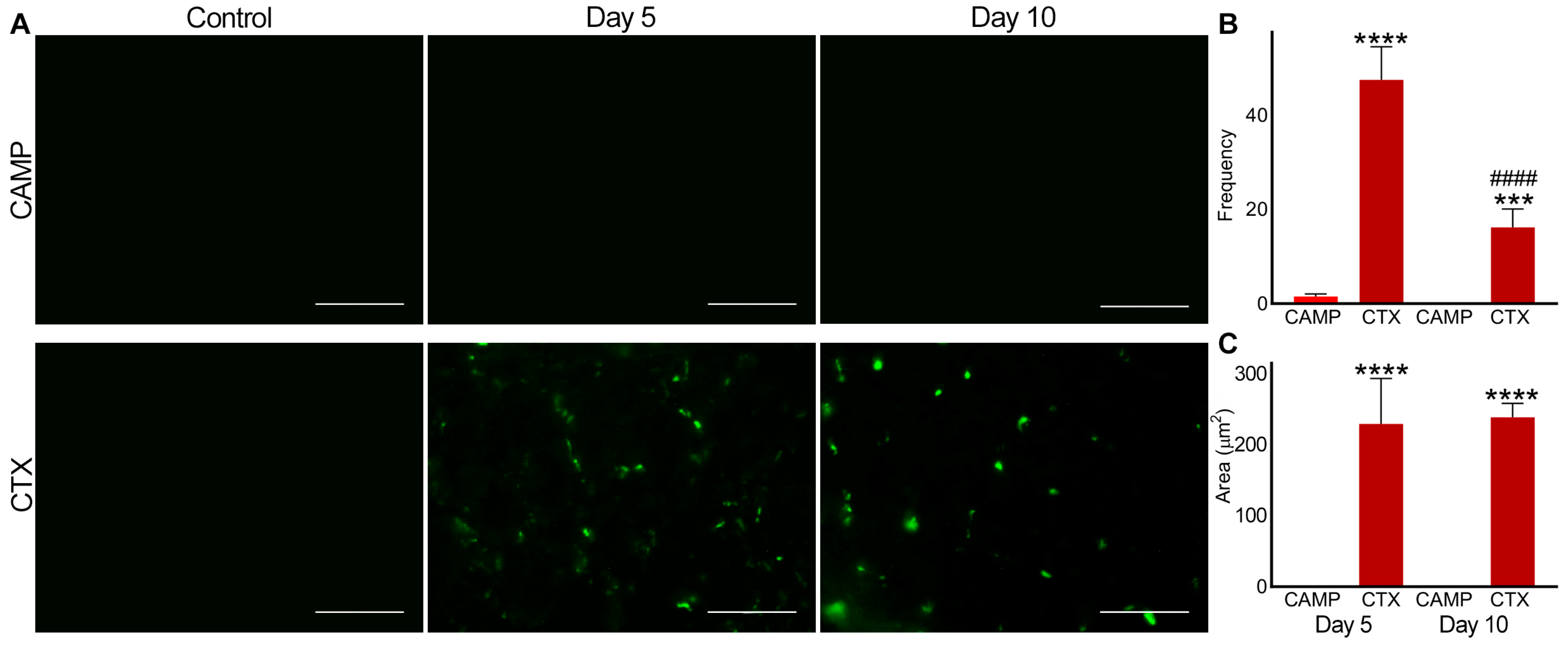 Toxins 15 00530 g003