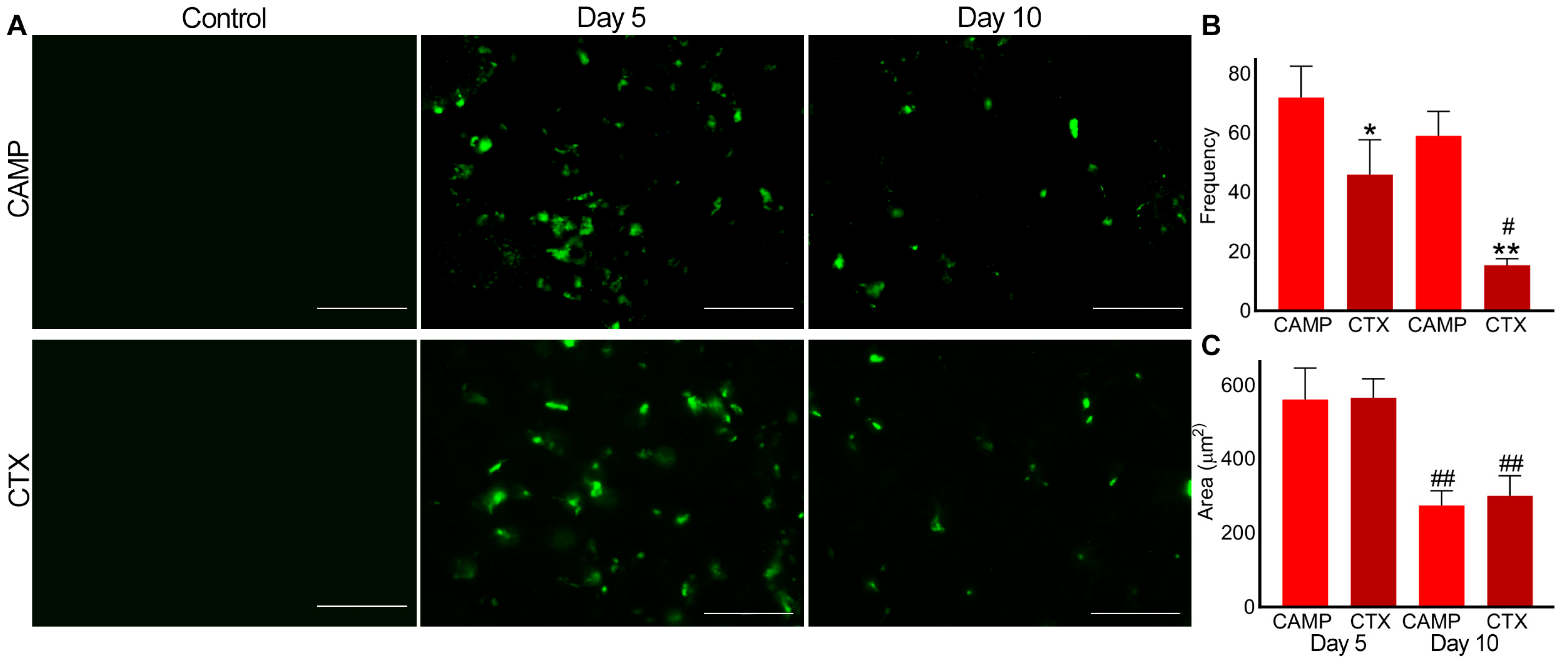 Toxins 15 00530 g004