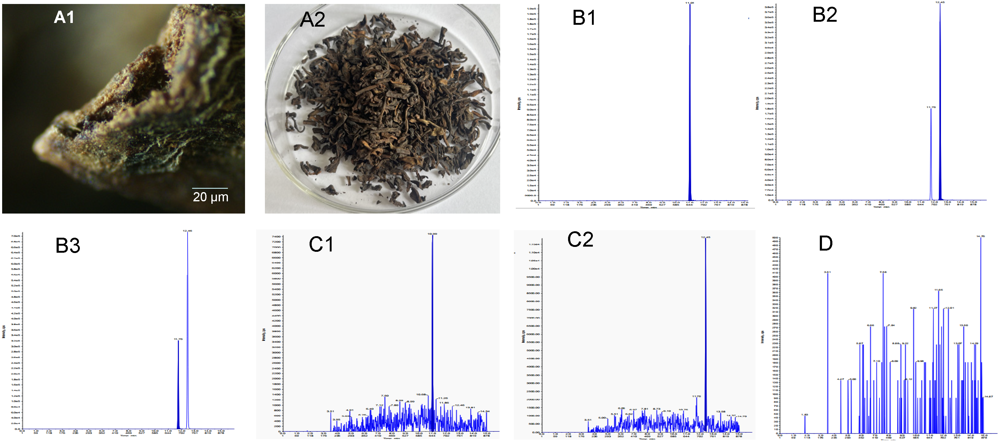 Toxins 15 00534 g001
