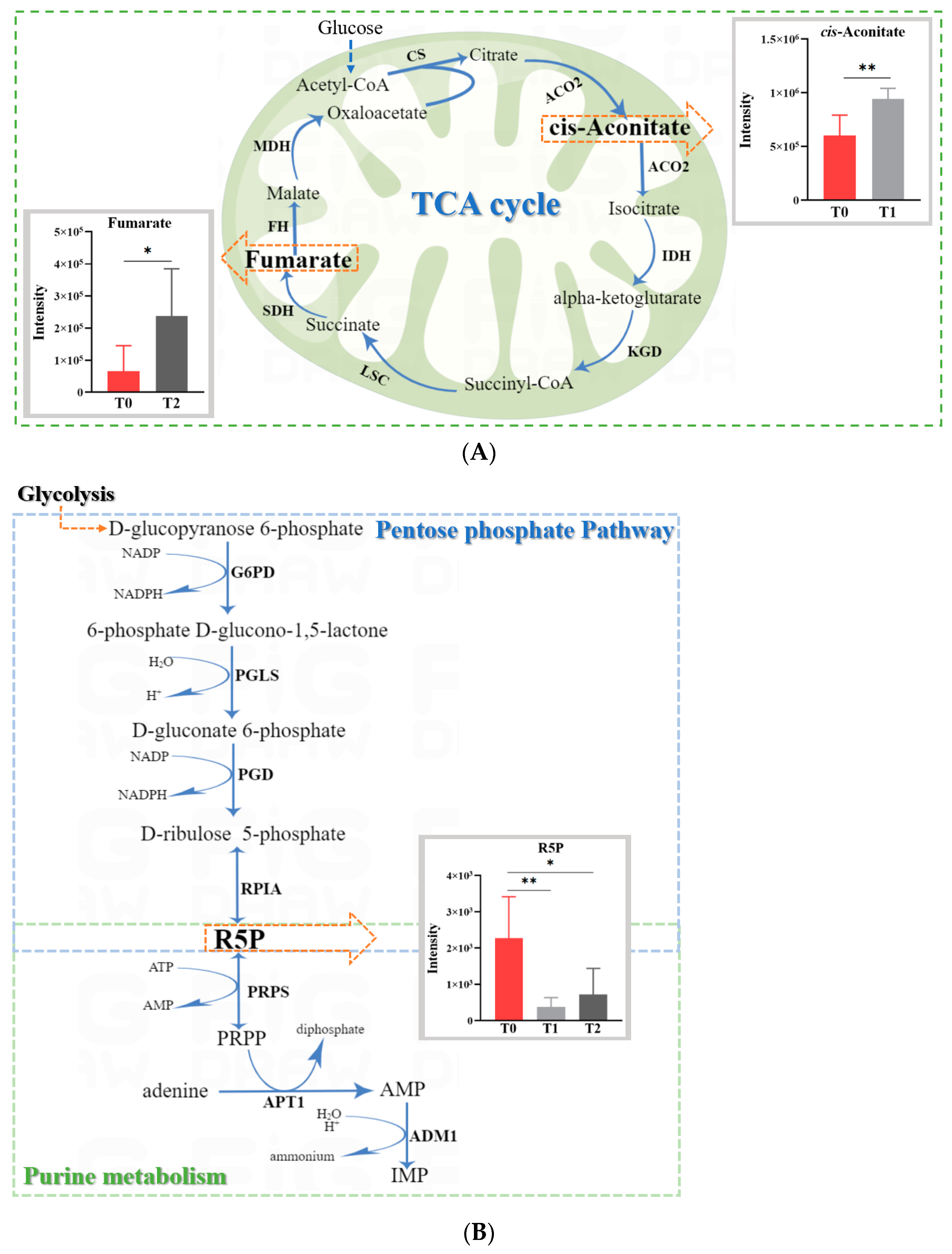 Toxins 15 00535 g005