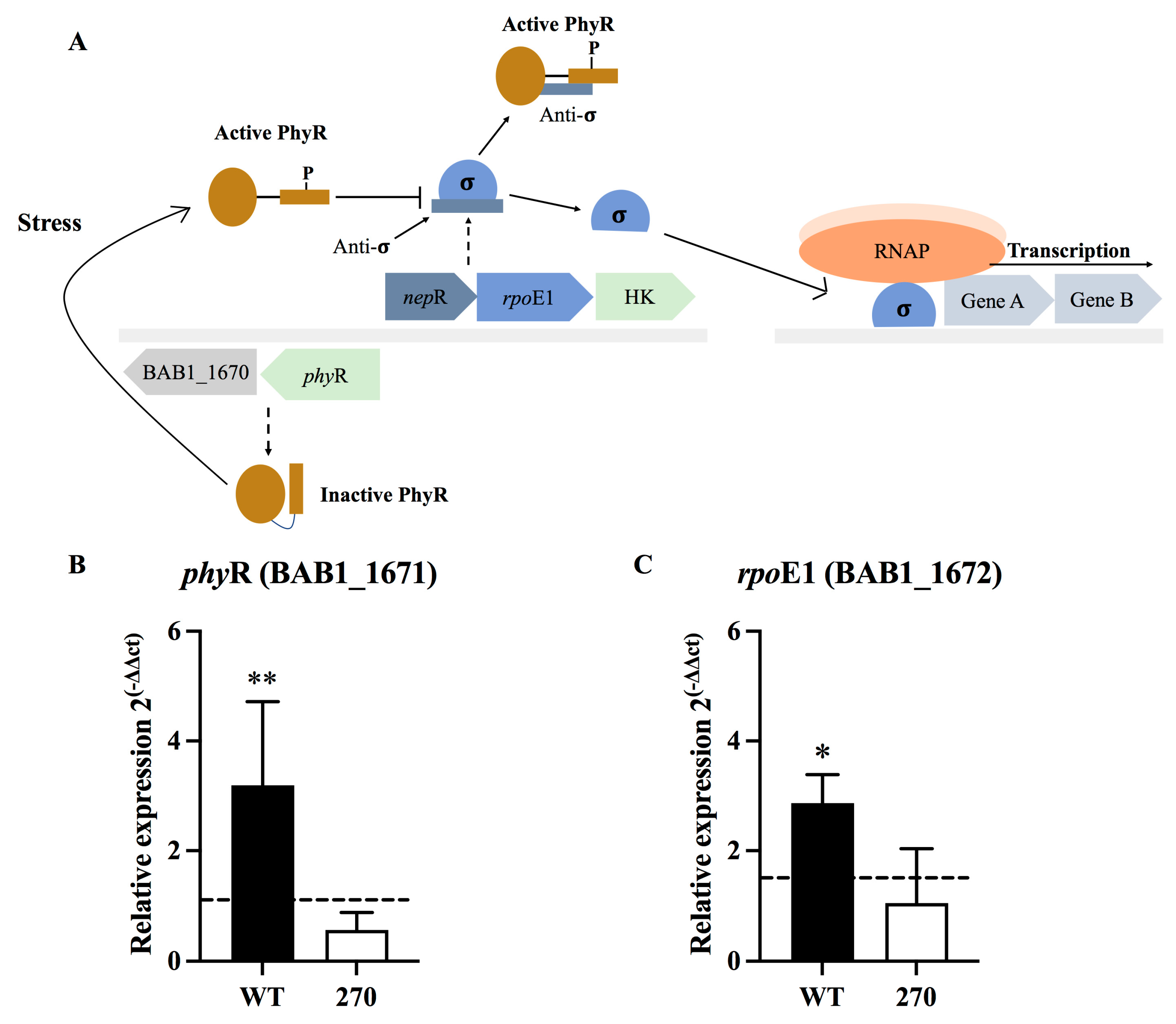 Toxins 15 00536 g003 Toxins 15 00536 g003