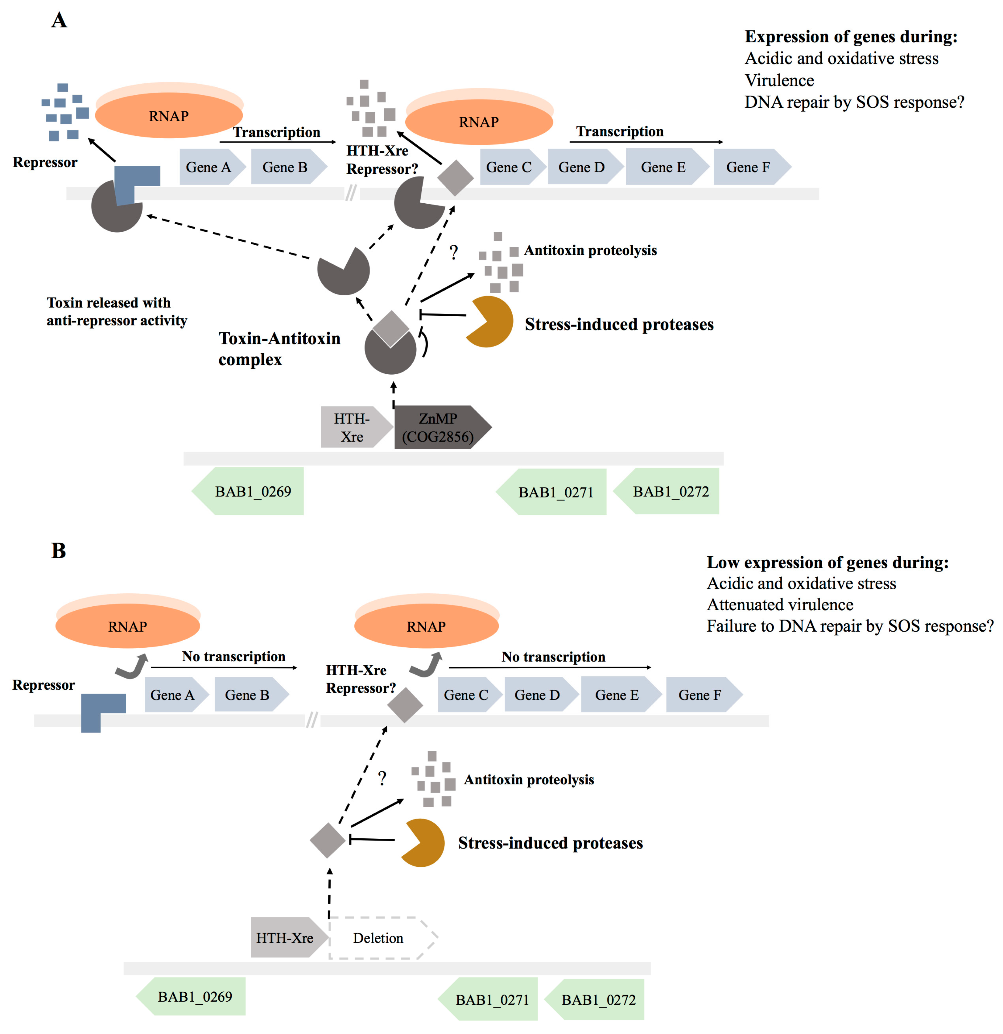 Toxins 15 00536 g004 Toxins 15 00536 g004