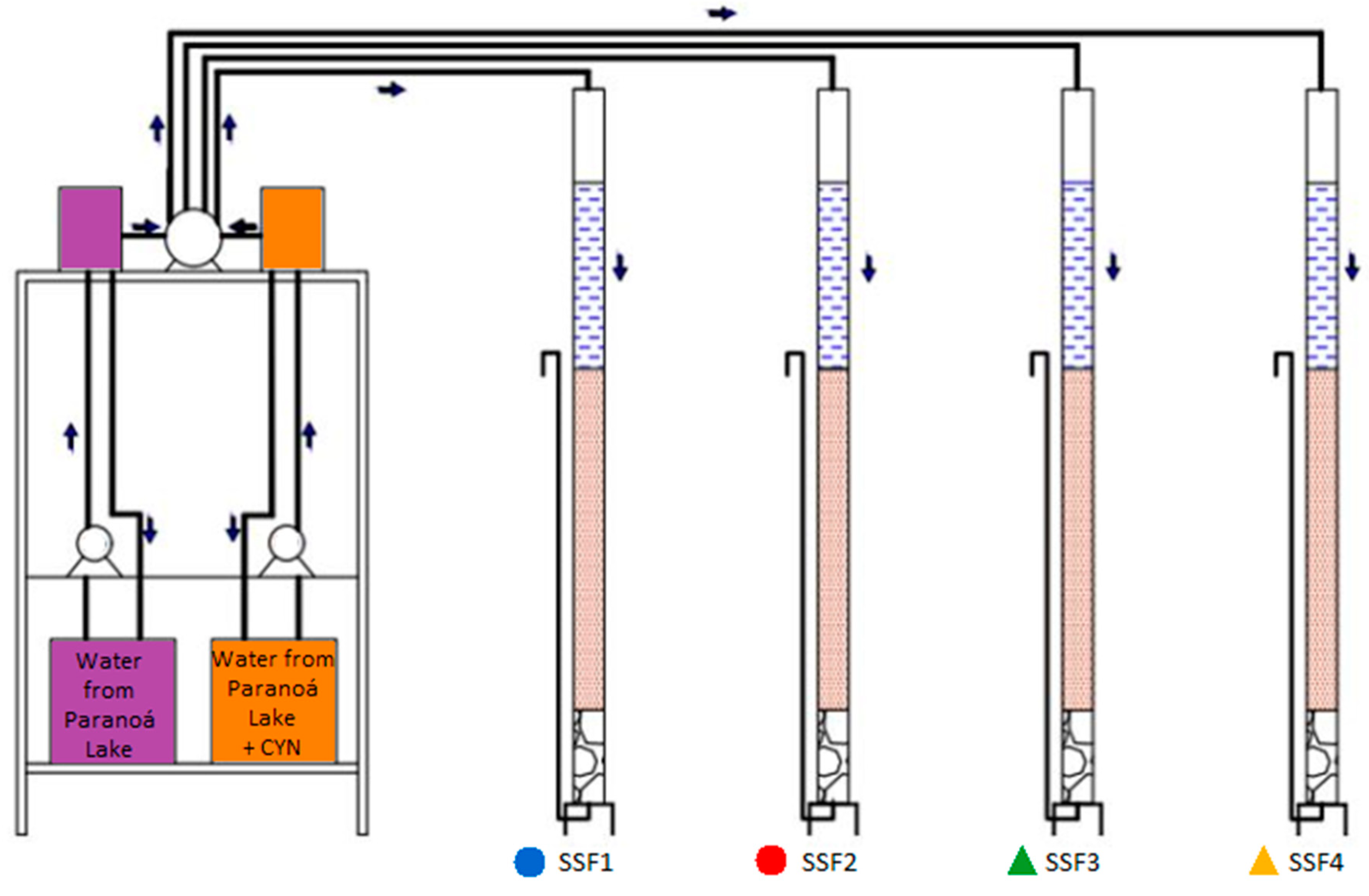 Toxins 15 00543 g012