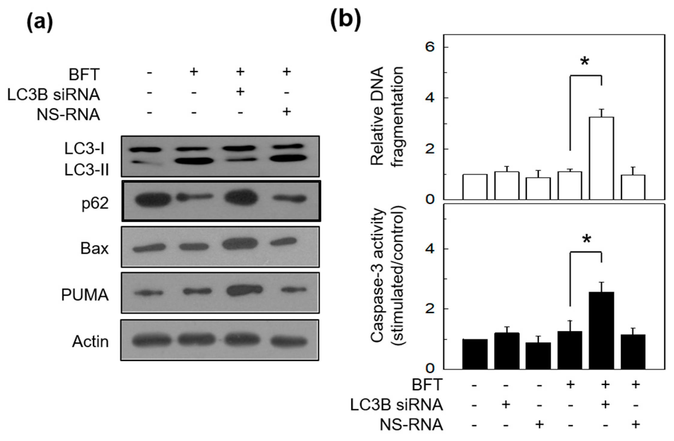 Toxins 15 00544 g009