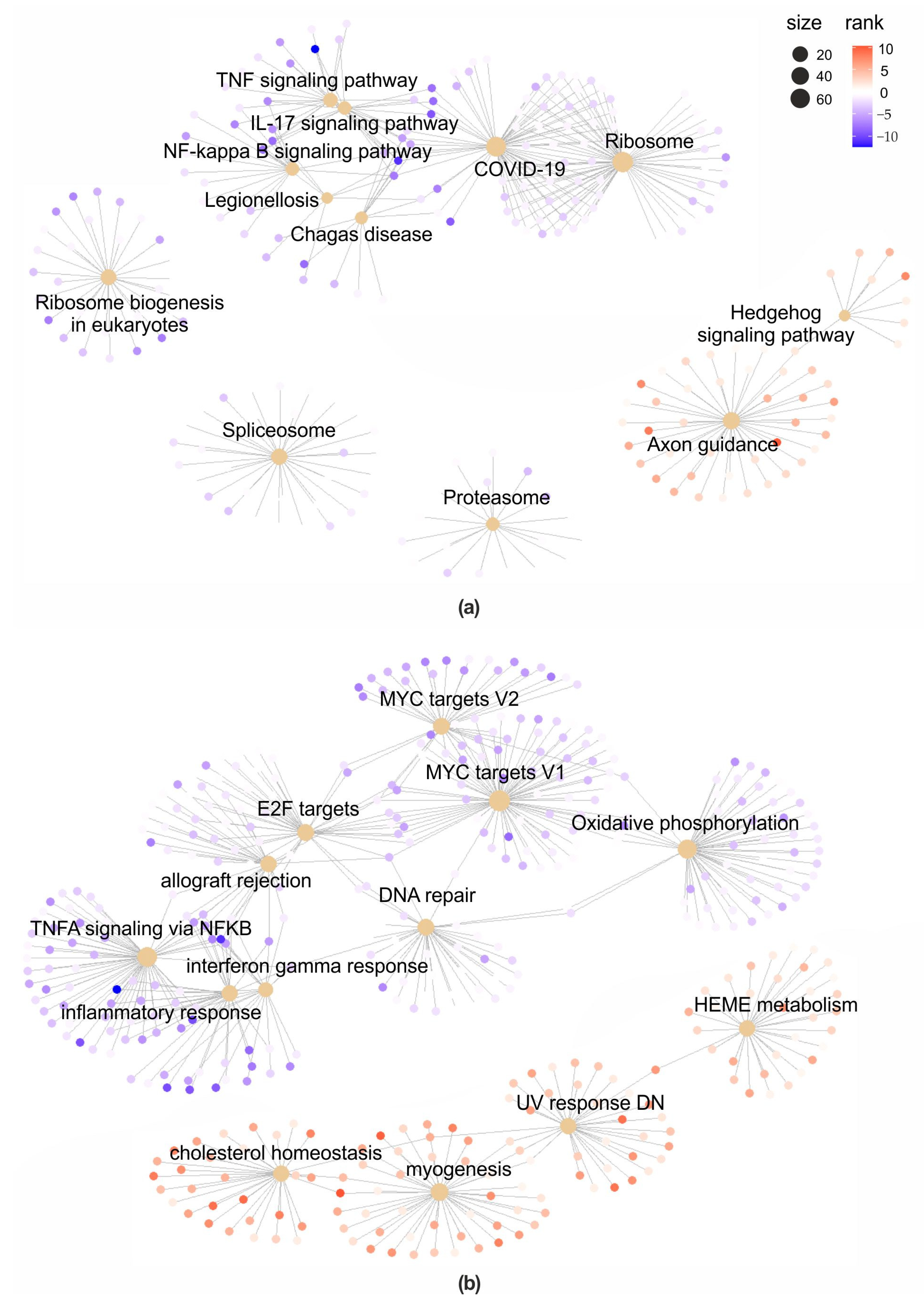 Toxins 15 00555 g005