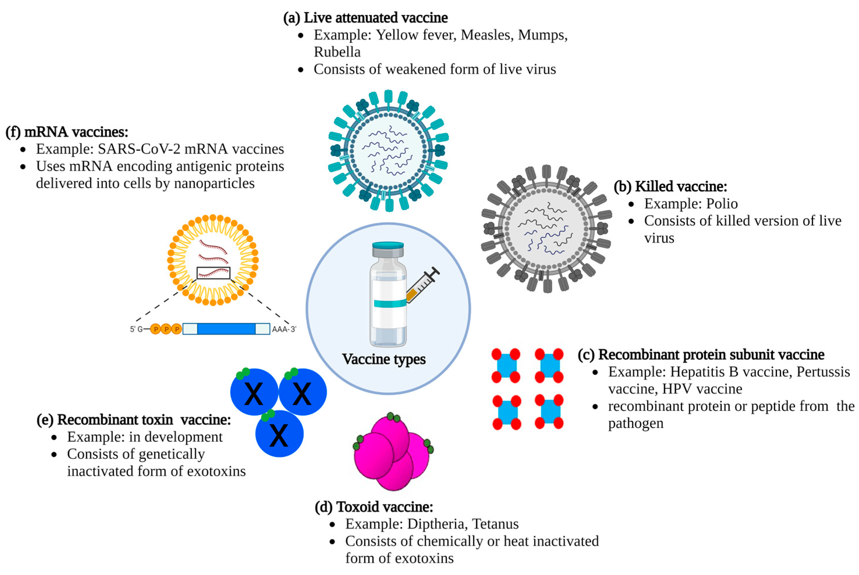 How a Virtual Vaccinology Conference Catalyzed the Scientific