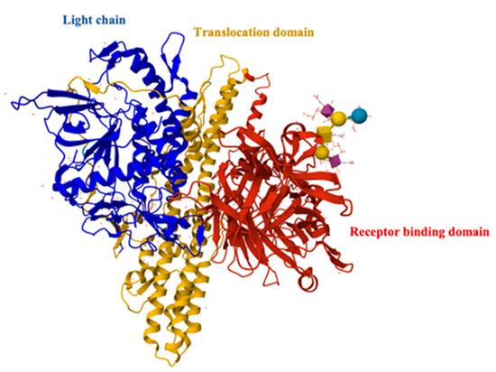 Recent Developments in Vaccine Design: From Live Vaccines to