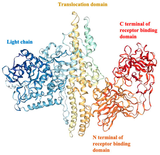 Recent Developments in Vaccine Design: From Live Vaccines to