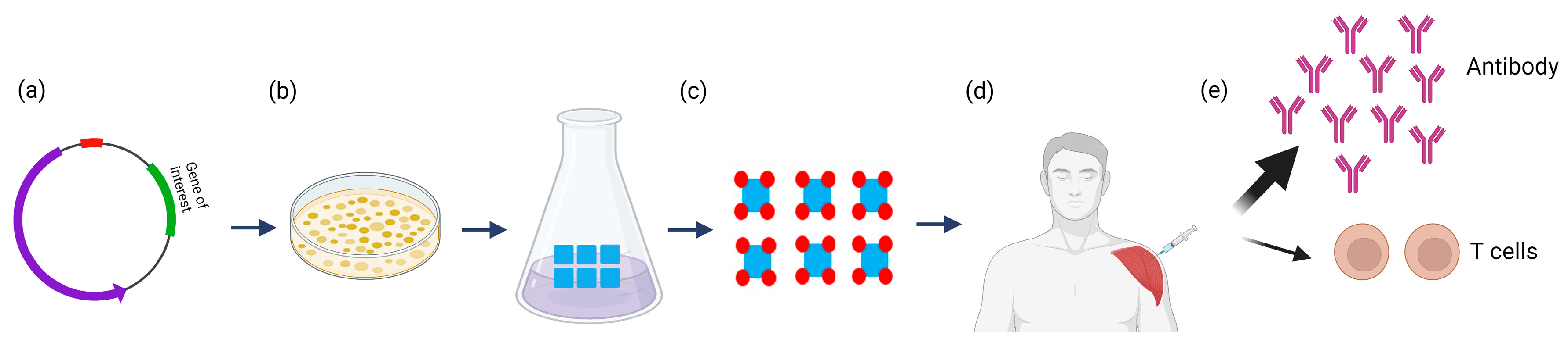 Toxins 15 00563 g005