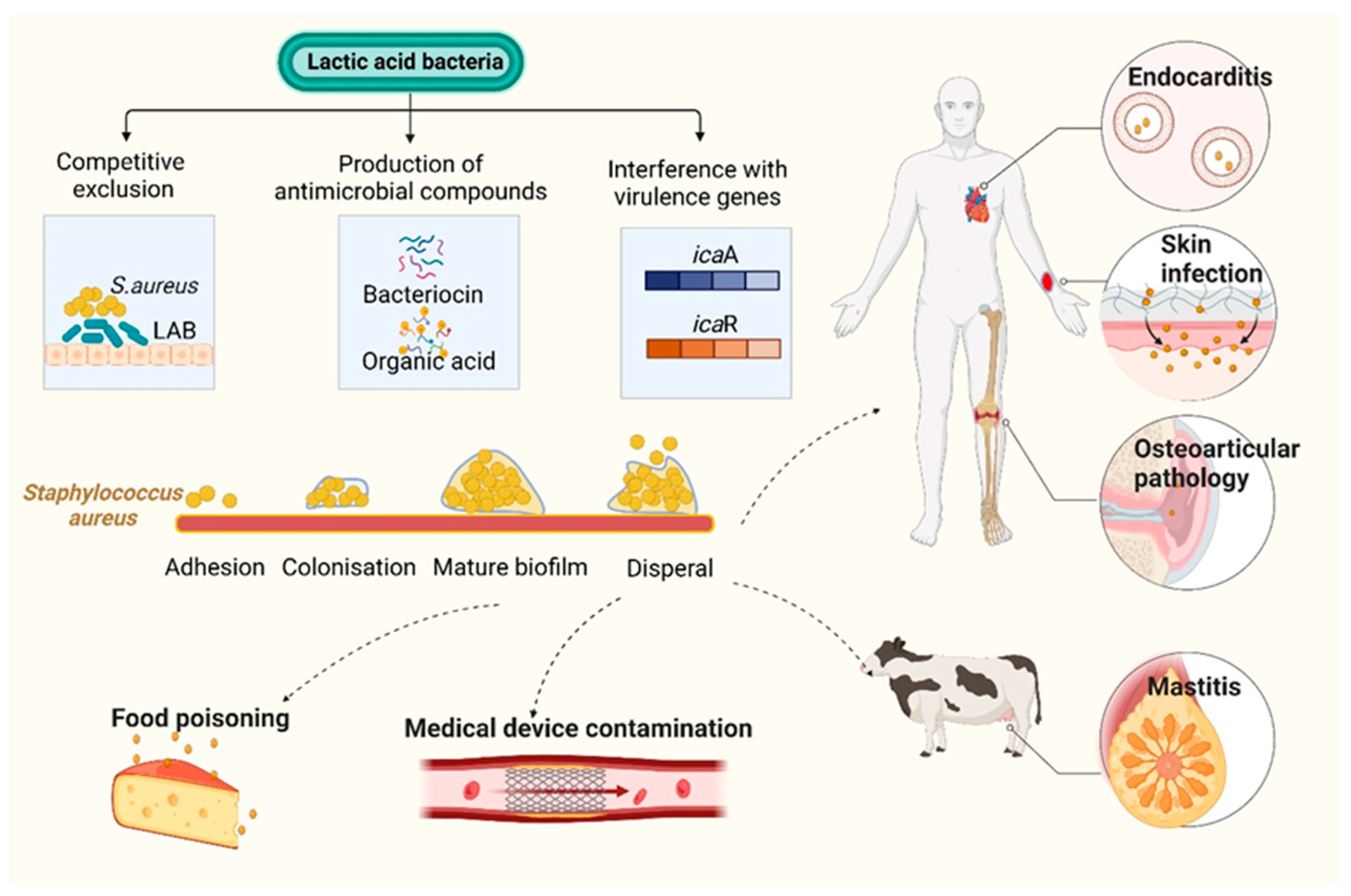 Toxins 15 00570 g005