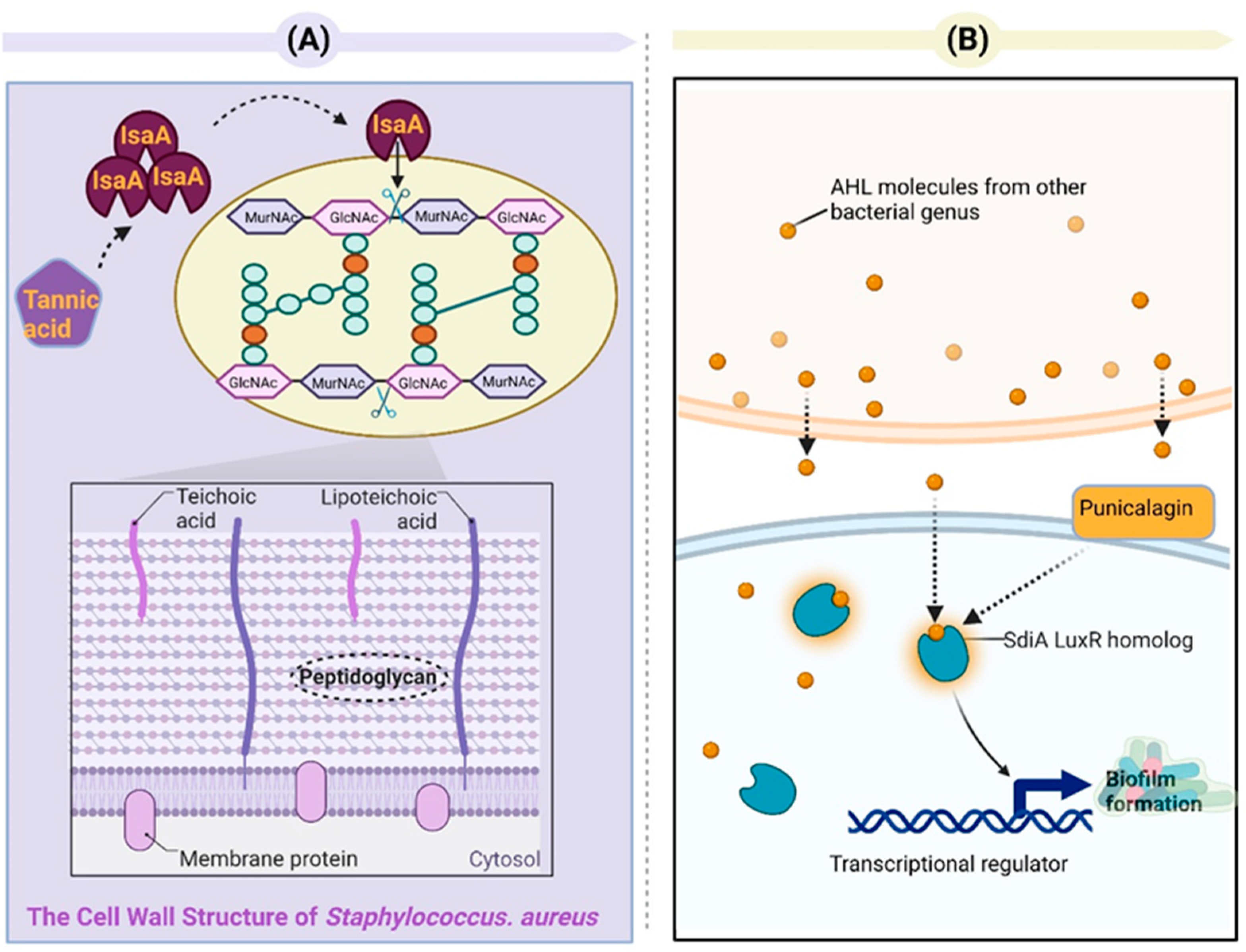 Toxins 15 00570 g006