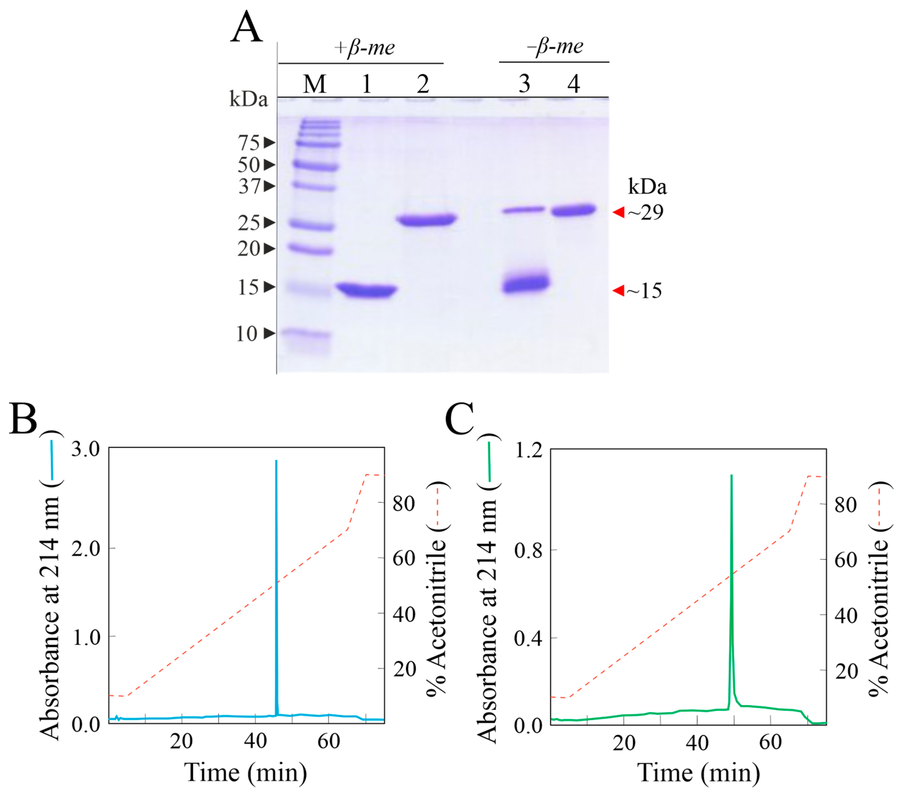 Toxins 15 00578 g001