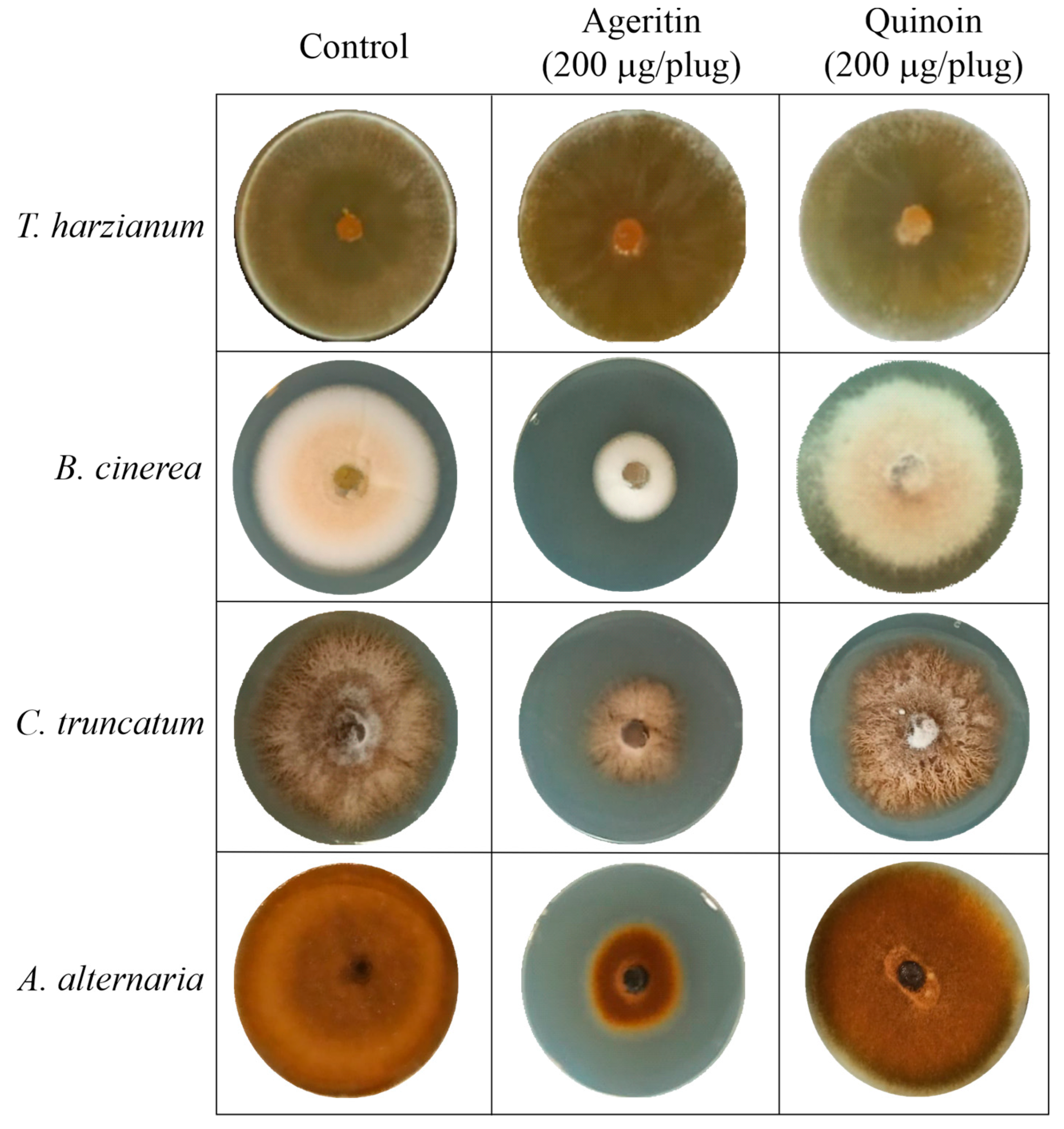 Toxins 15 00578 g002