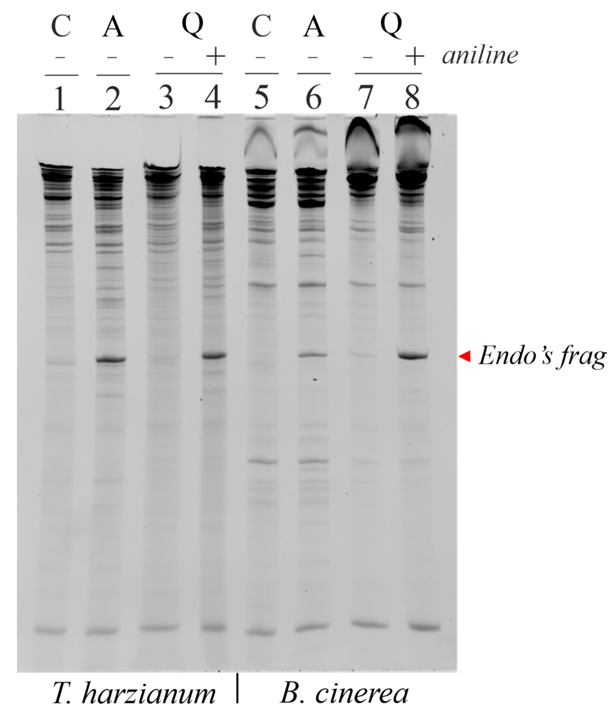 Toxins 15 00578 g008