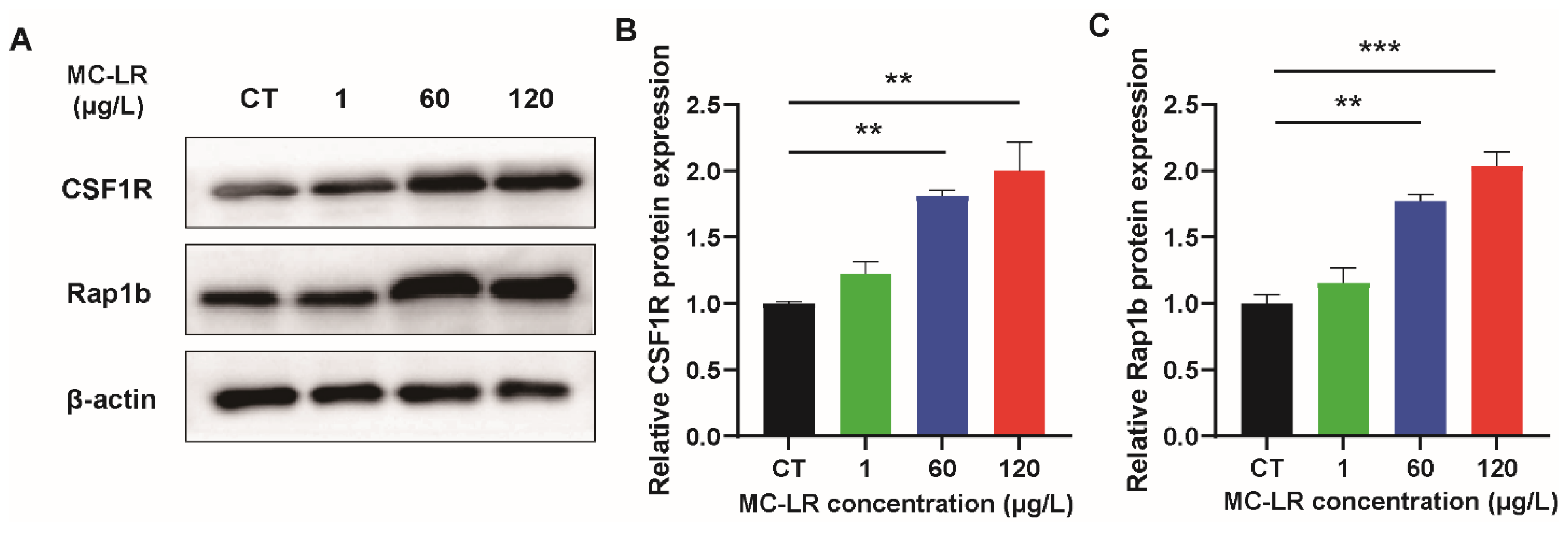 Toxins 15 00579 g004