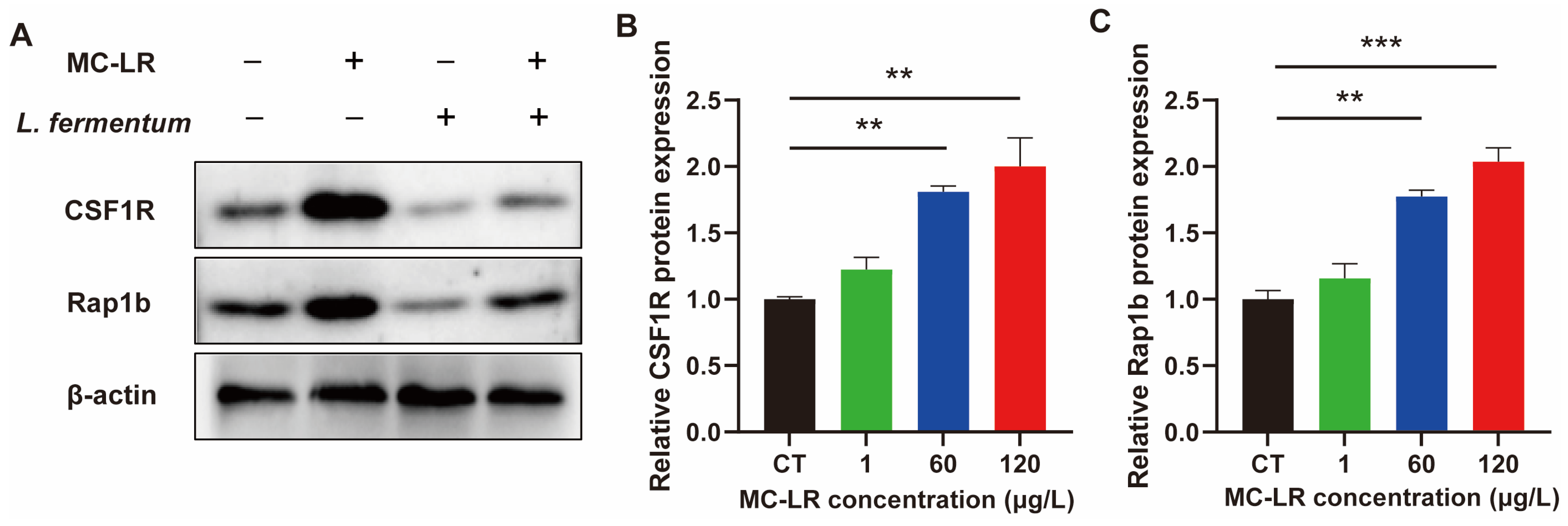 Toxins 15 00579 g007