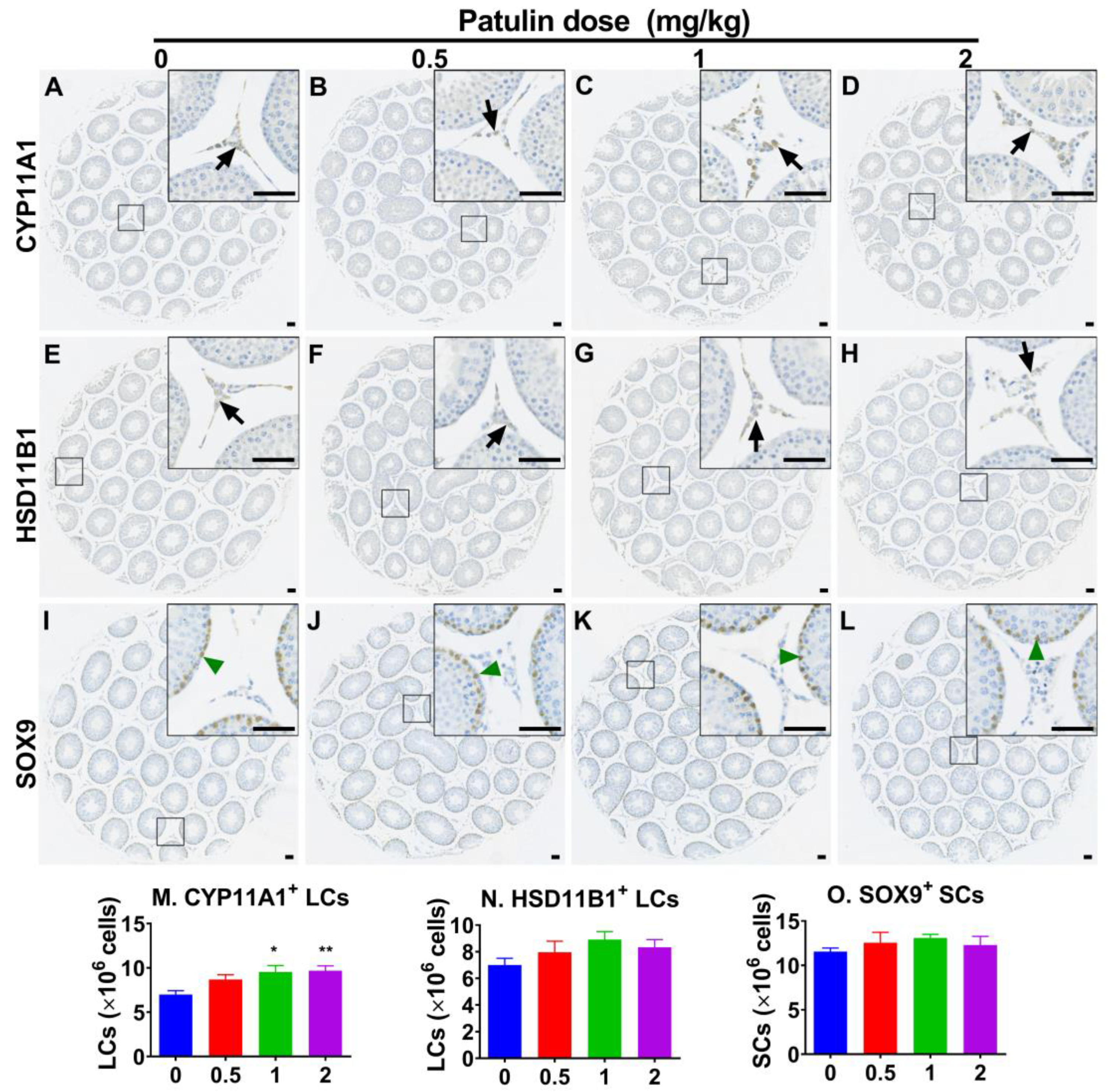 Toxins 15 00581 g002