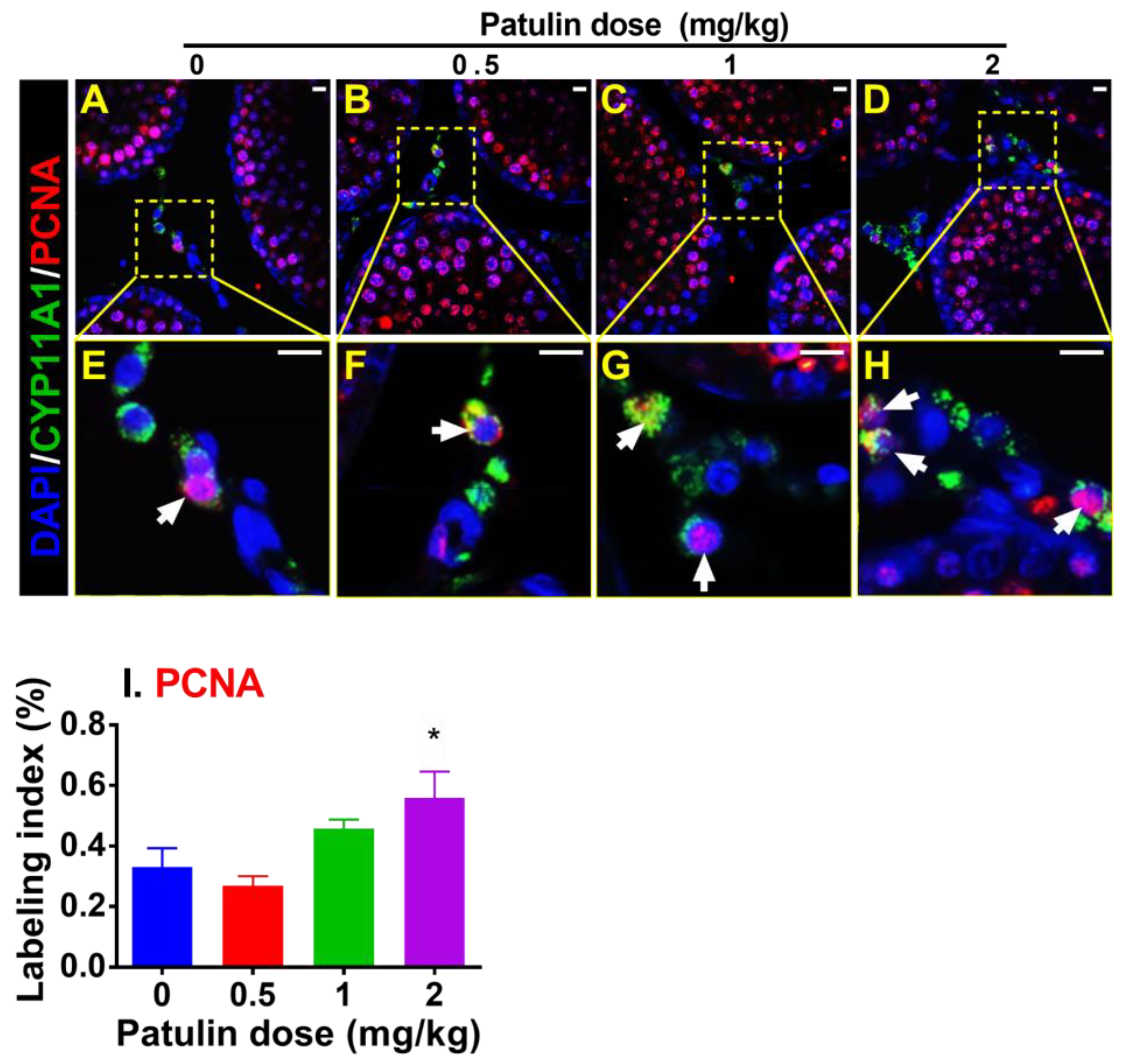 Toxins 15 00581 g003