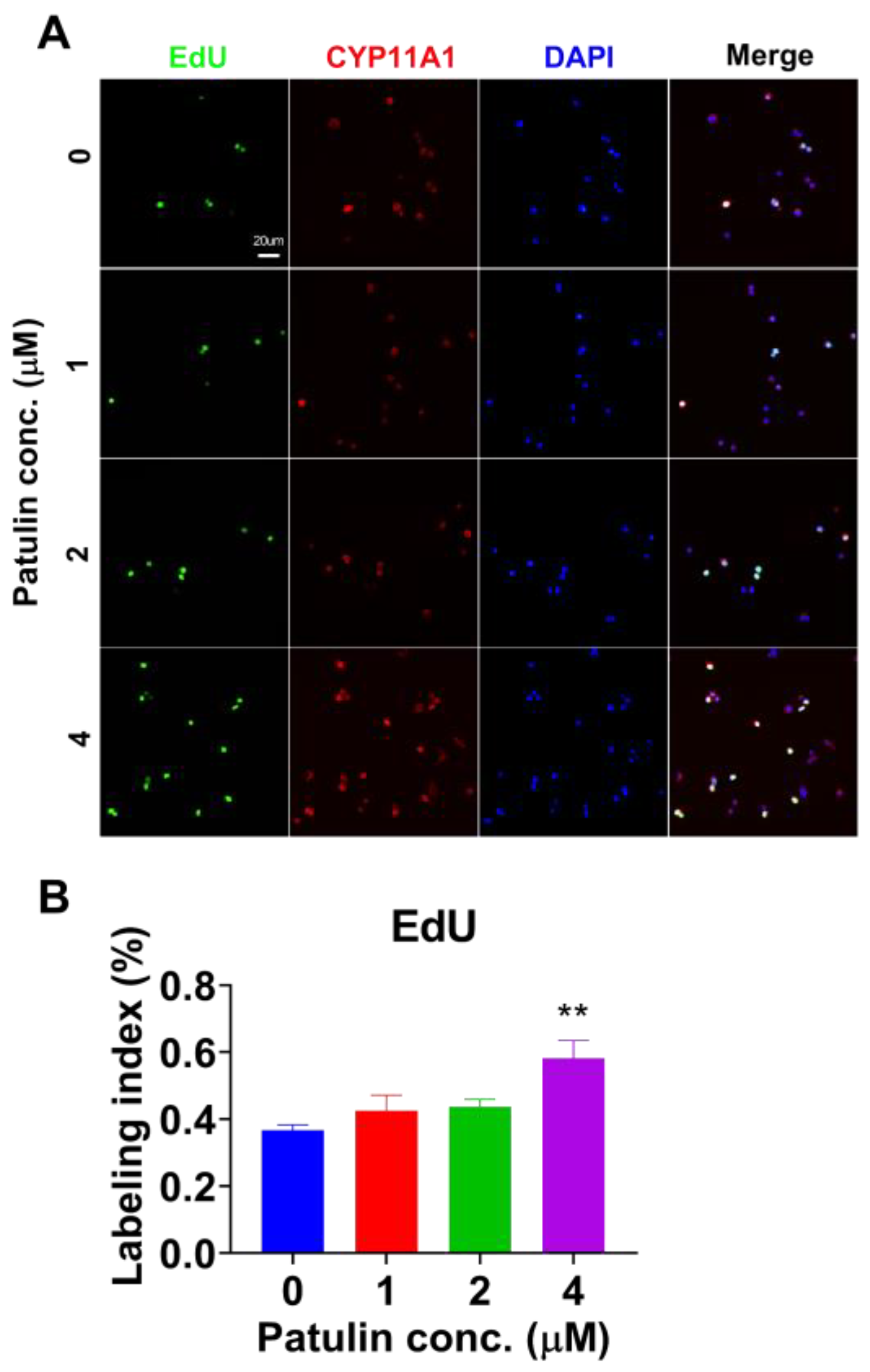 Toxins 15 00581 g008