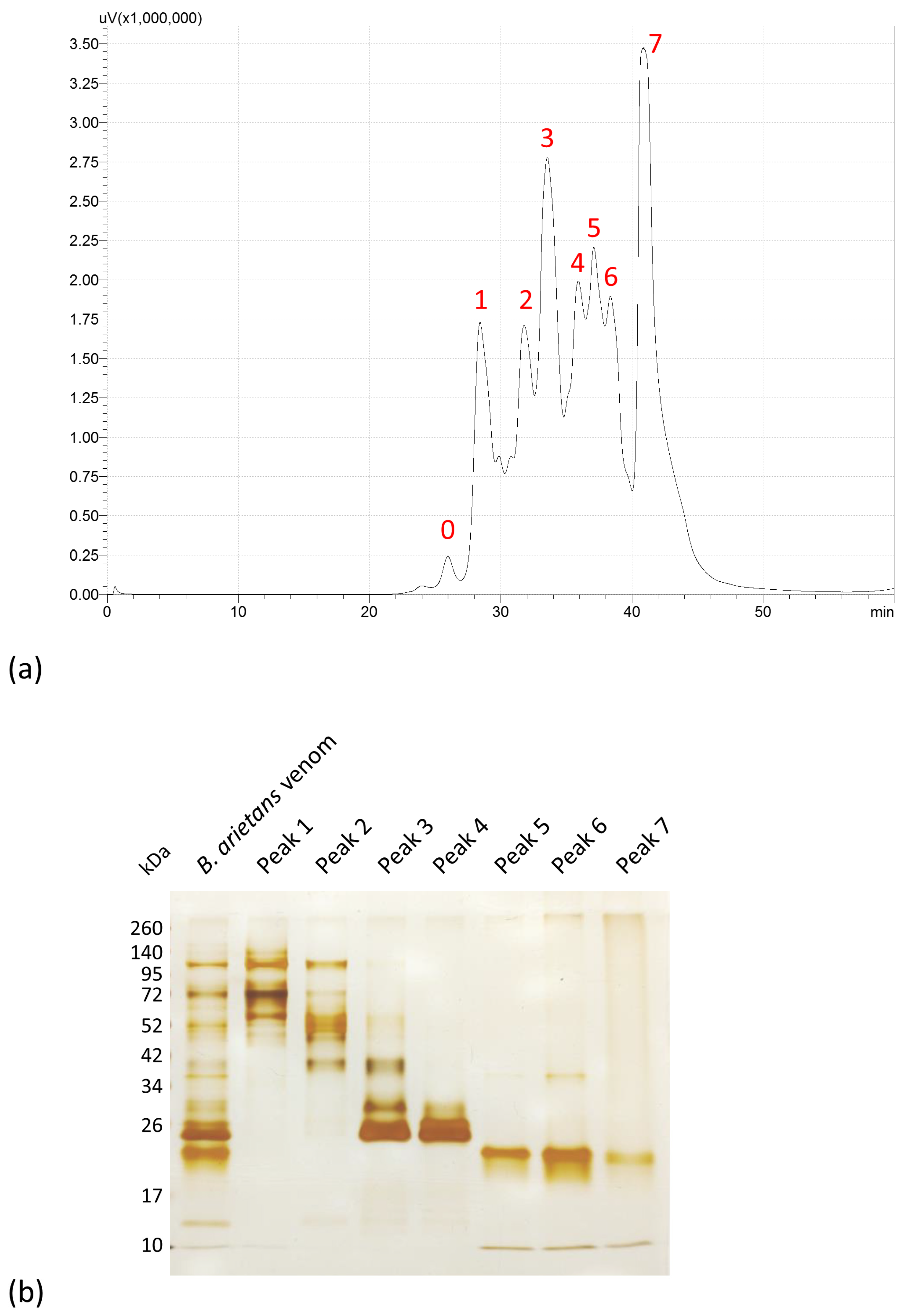 Toxins 15 00584 g001