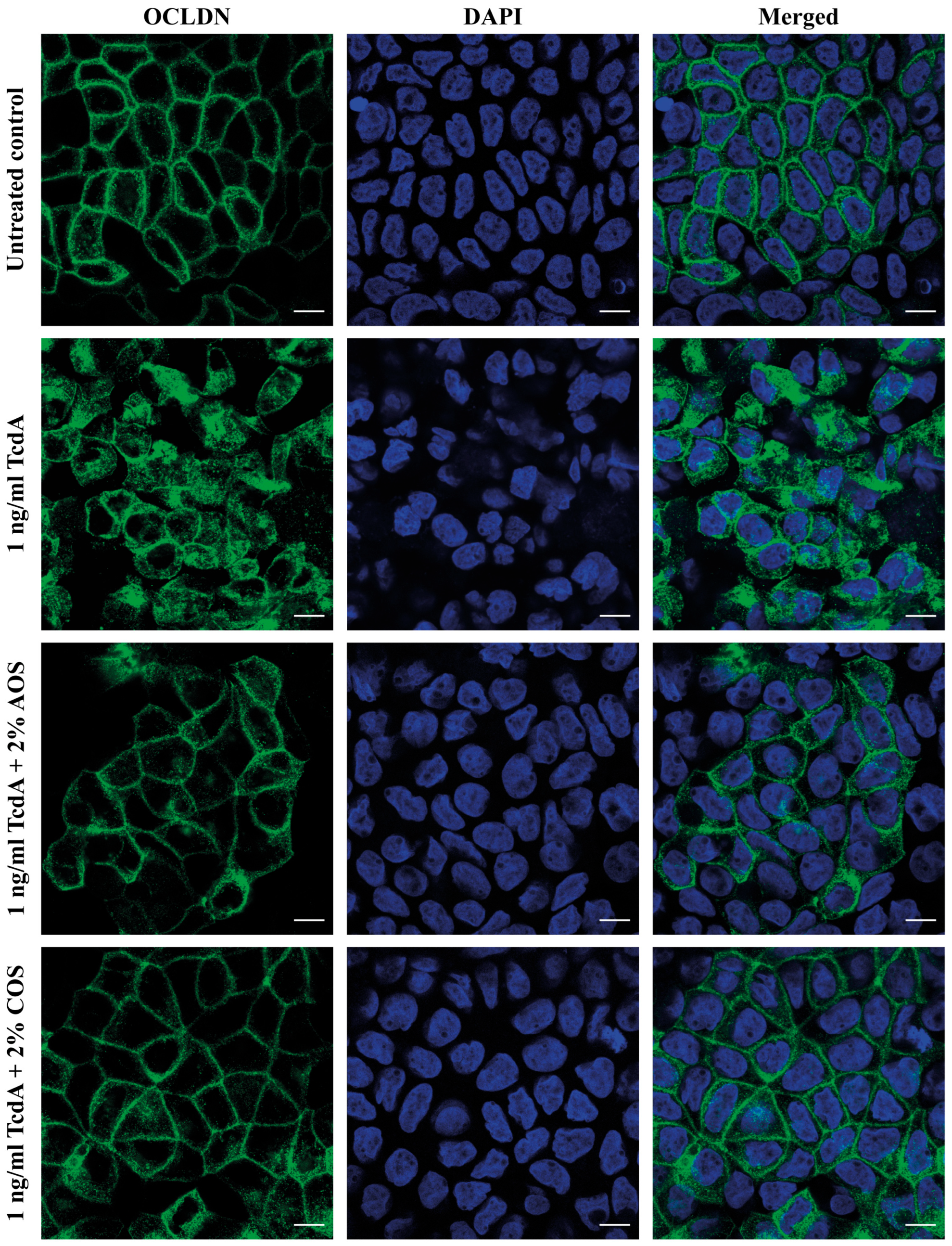 Toxins 15 00586 g004 Toxins 15 00586 g004