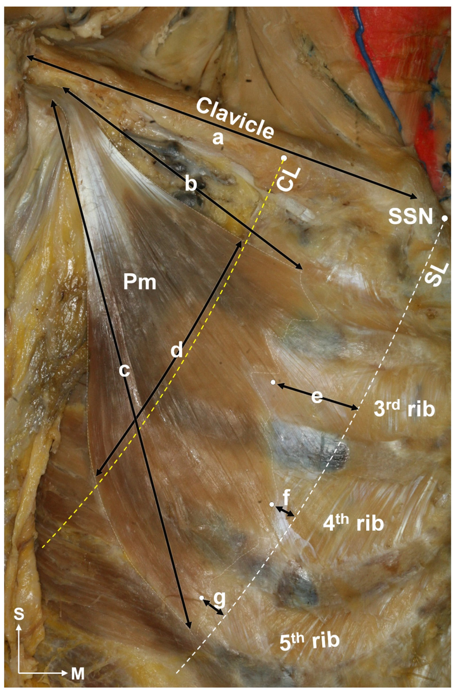 Toxins 15 00603 g007 Toxins 15 00603 g007