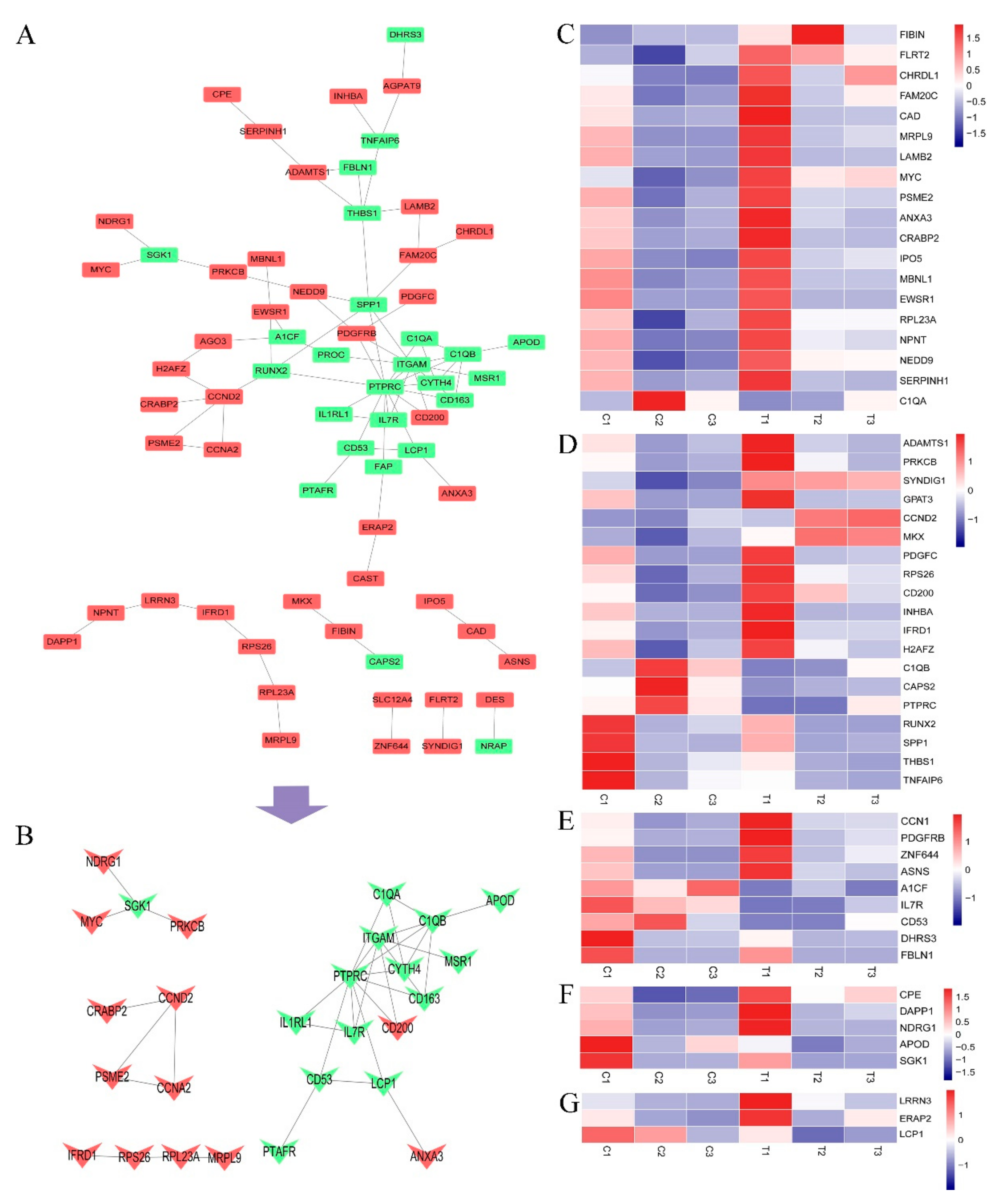 Toxins 15 00617 g005