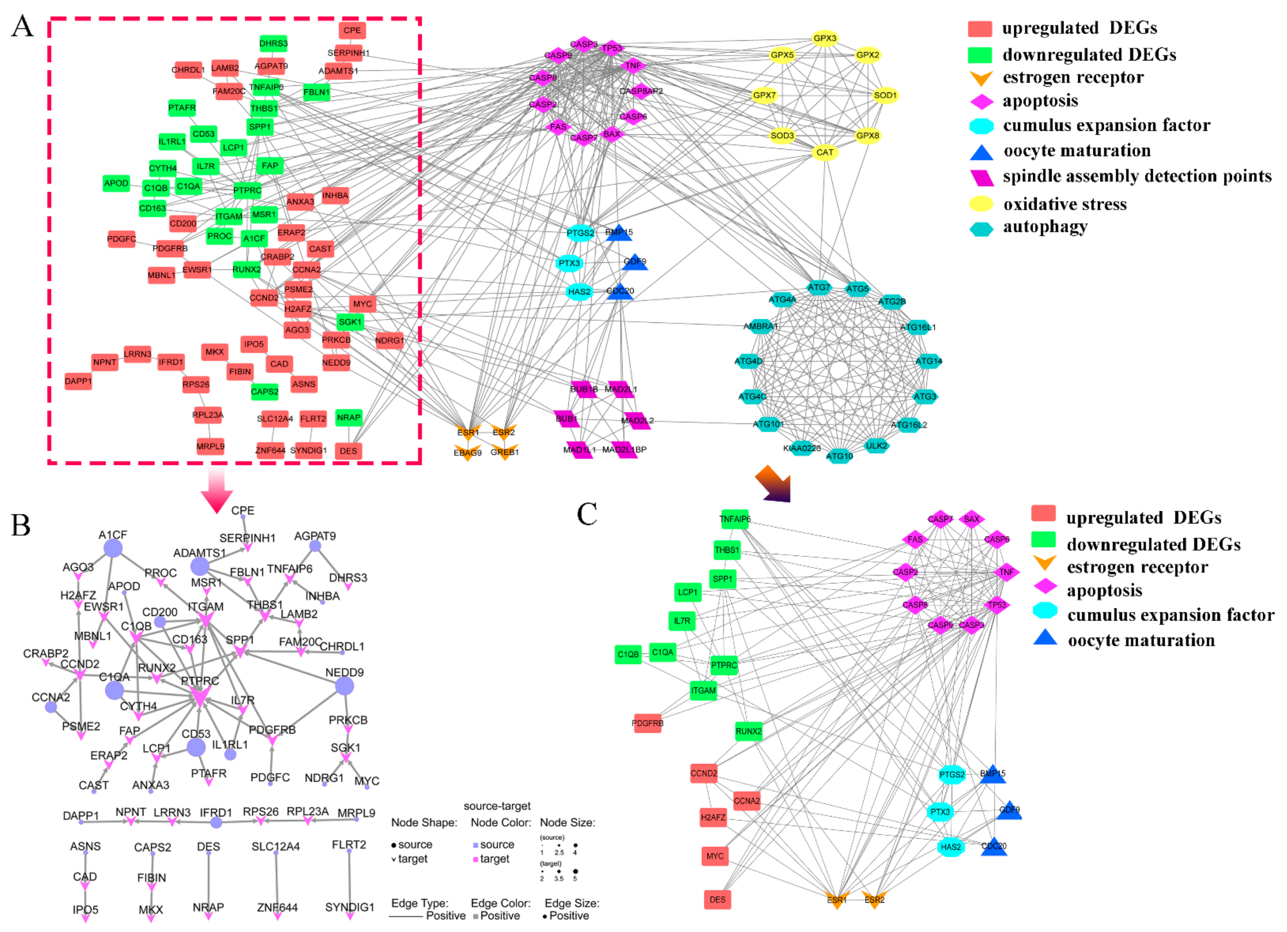 Toxins 15 00617 g006