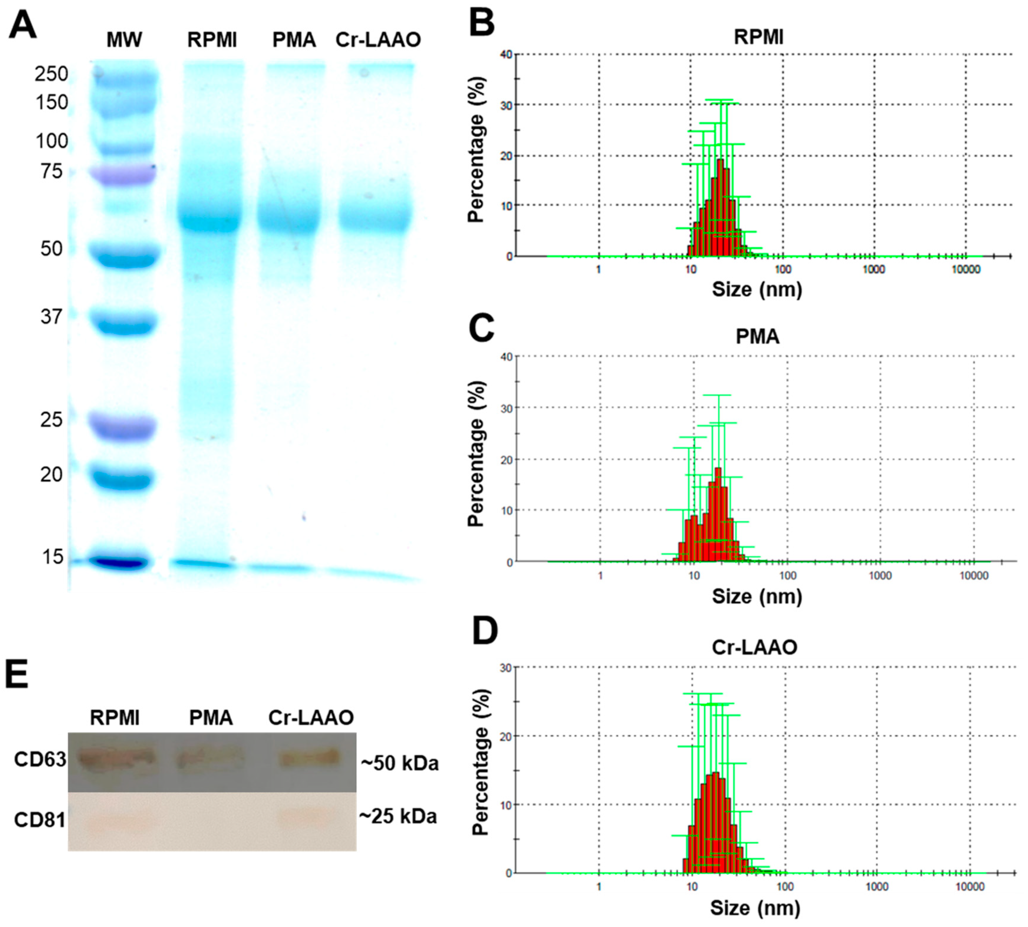 Toxins 15 00625 g001