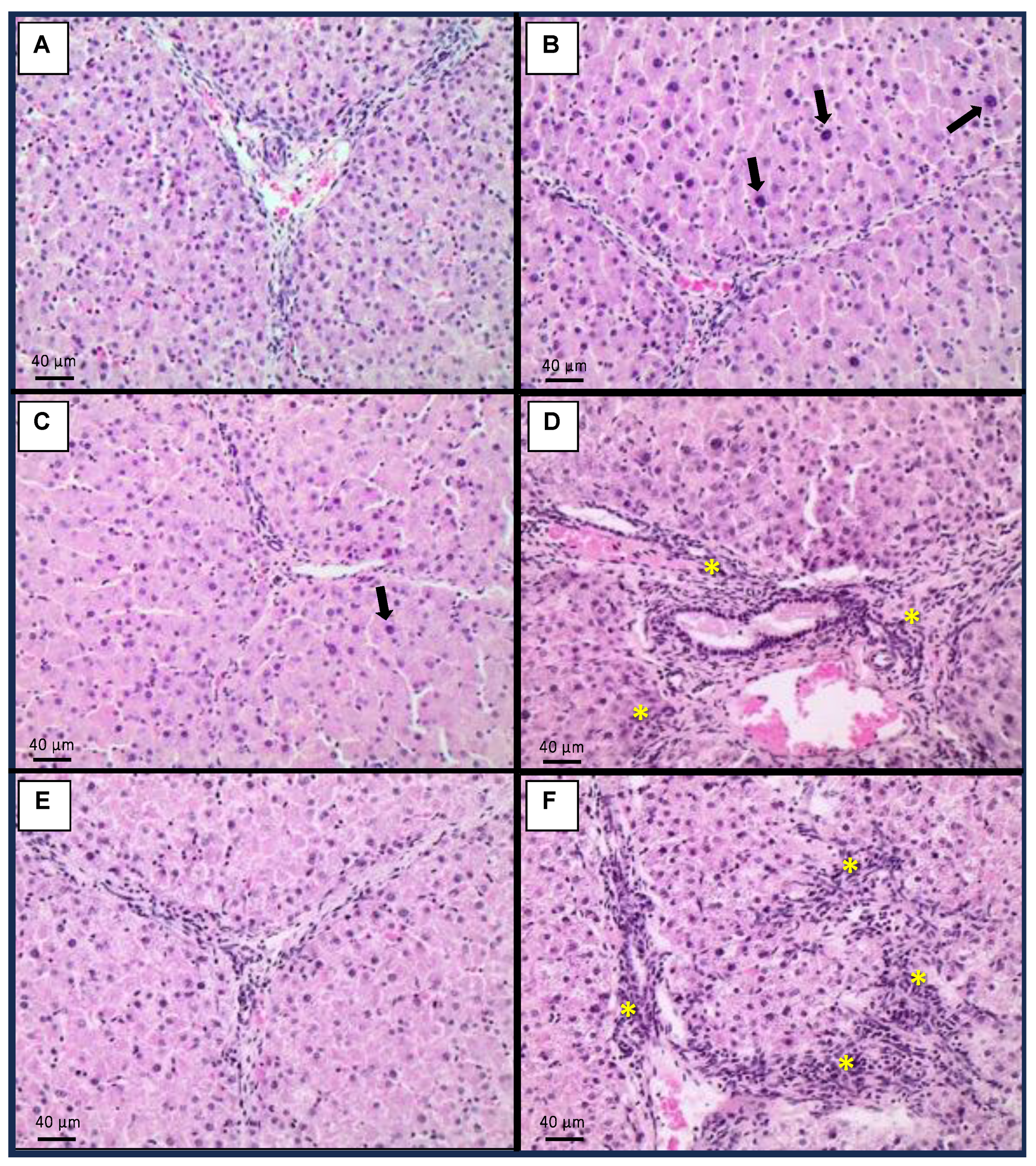 Toxins 15 00629 g001