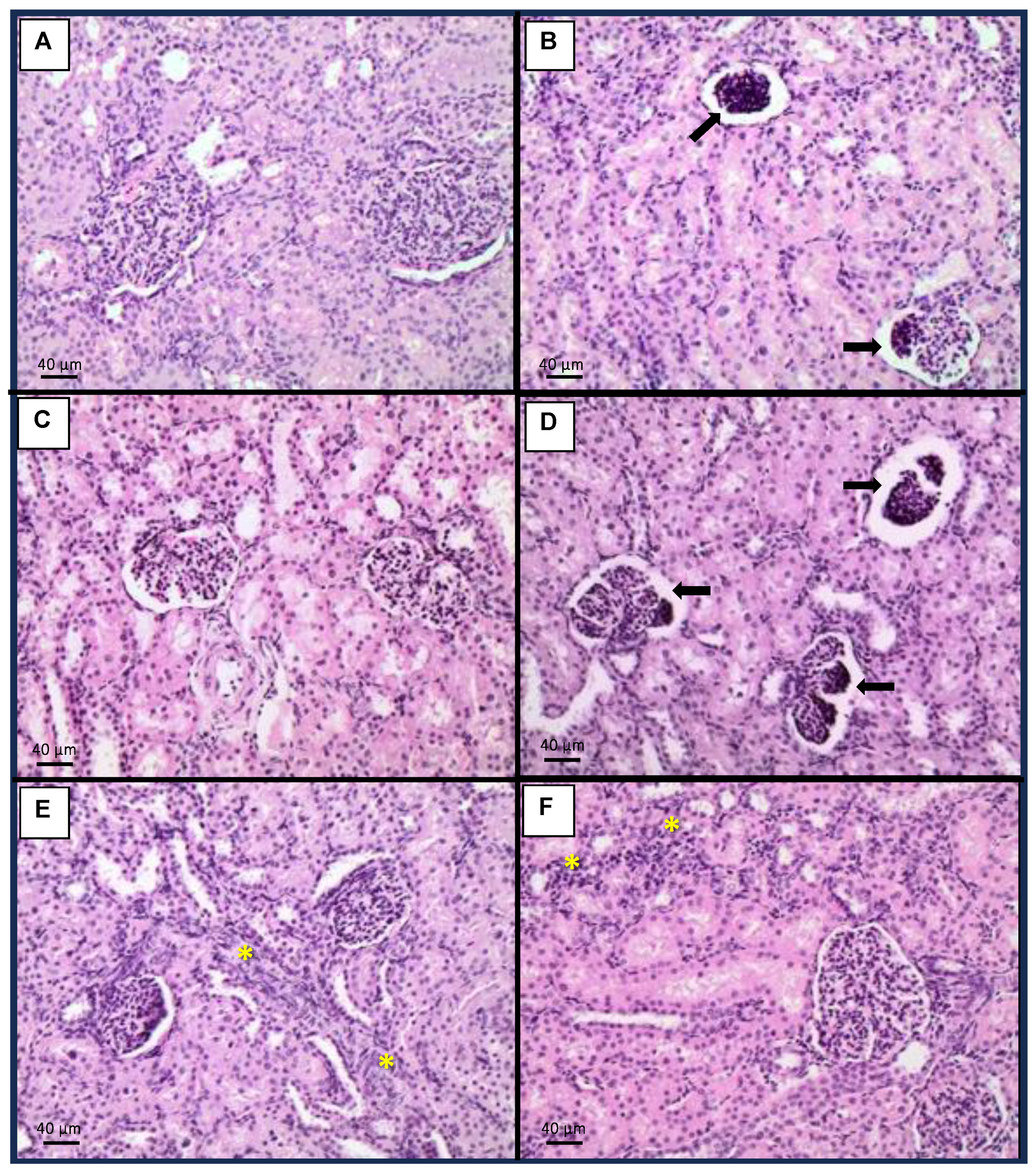Toxins 15 00629 g002