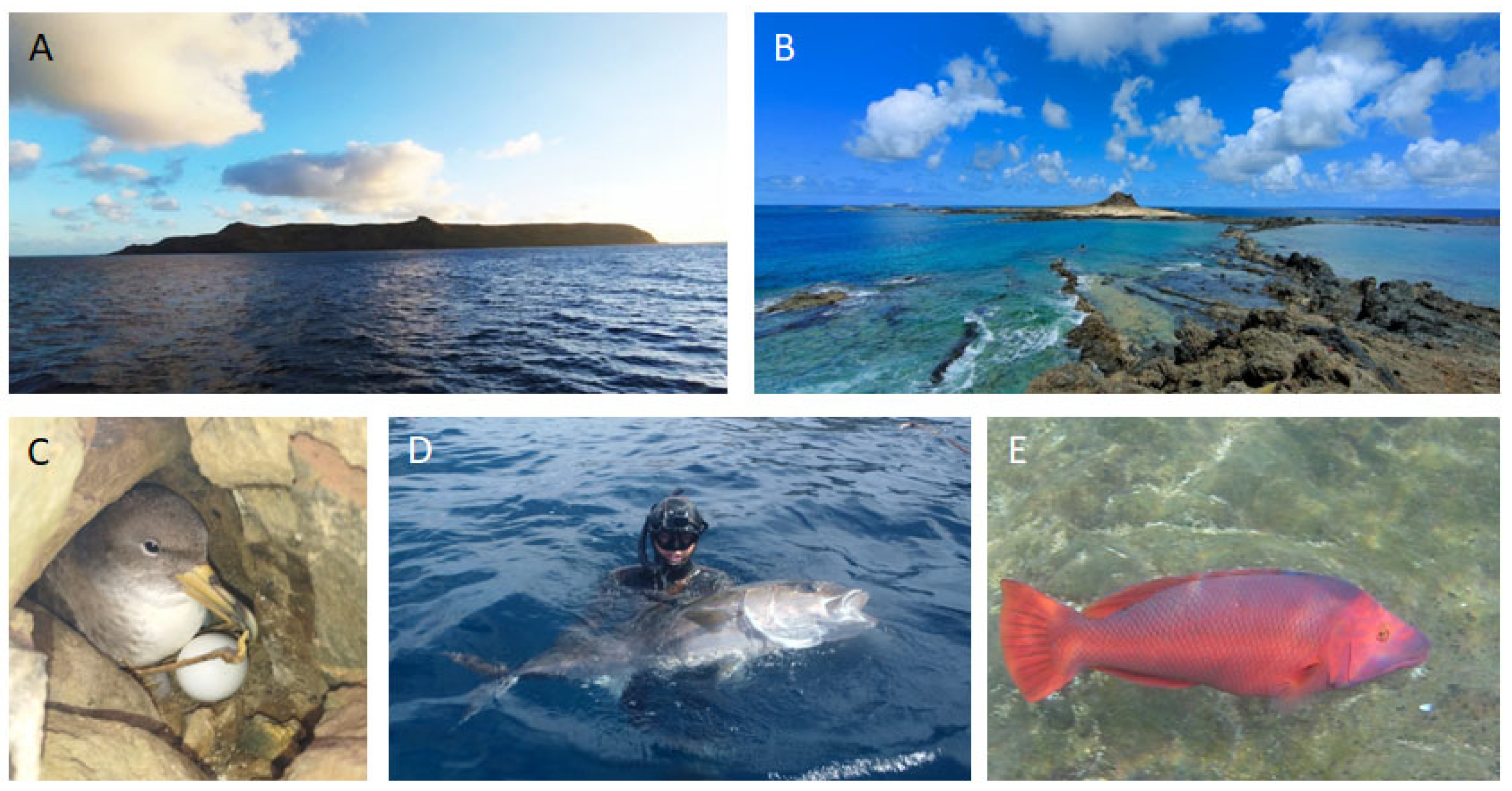 Toxins 15 00630 g001