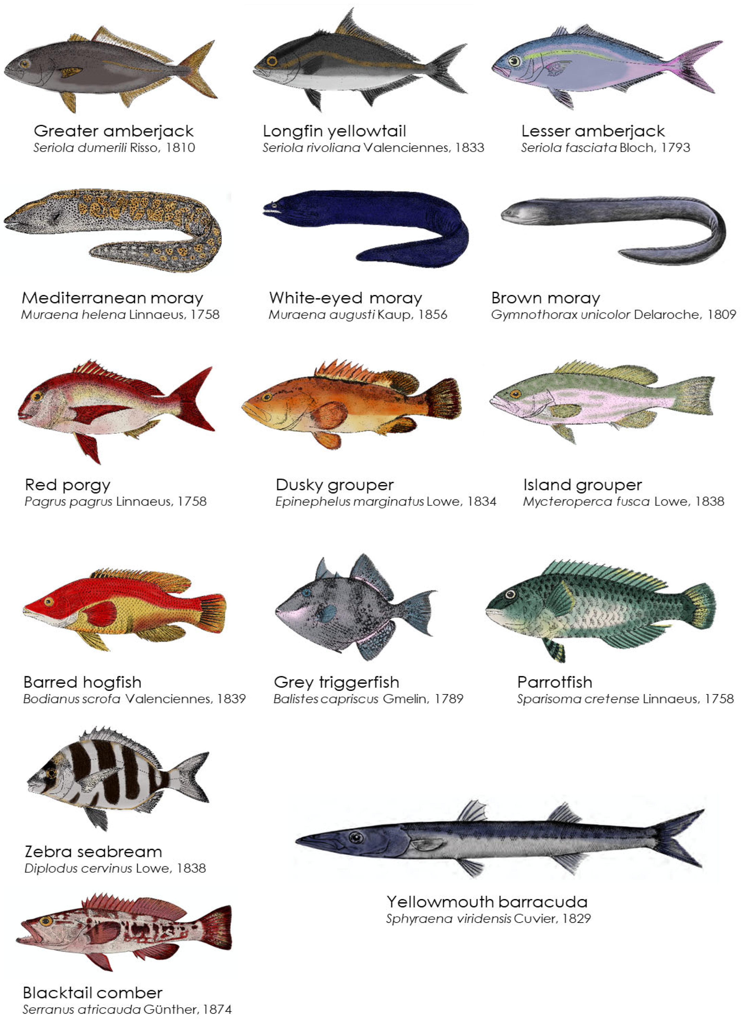 Toxins 15 00630 g004