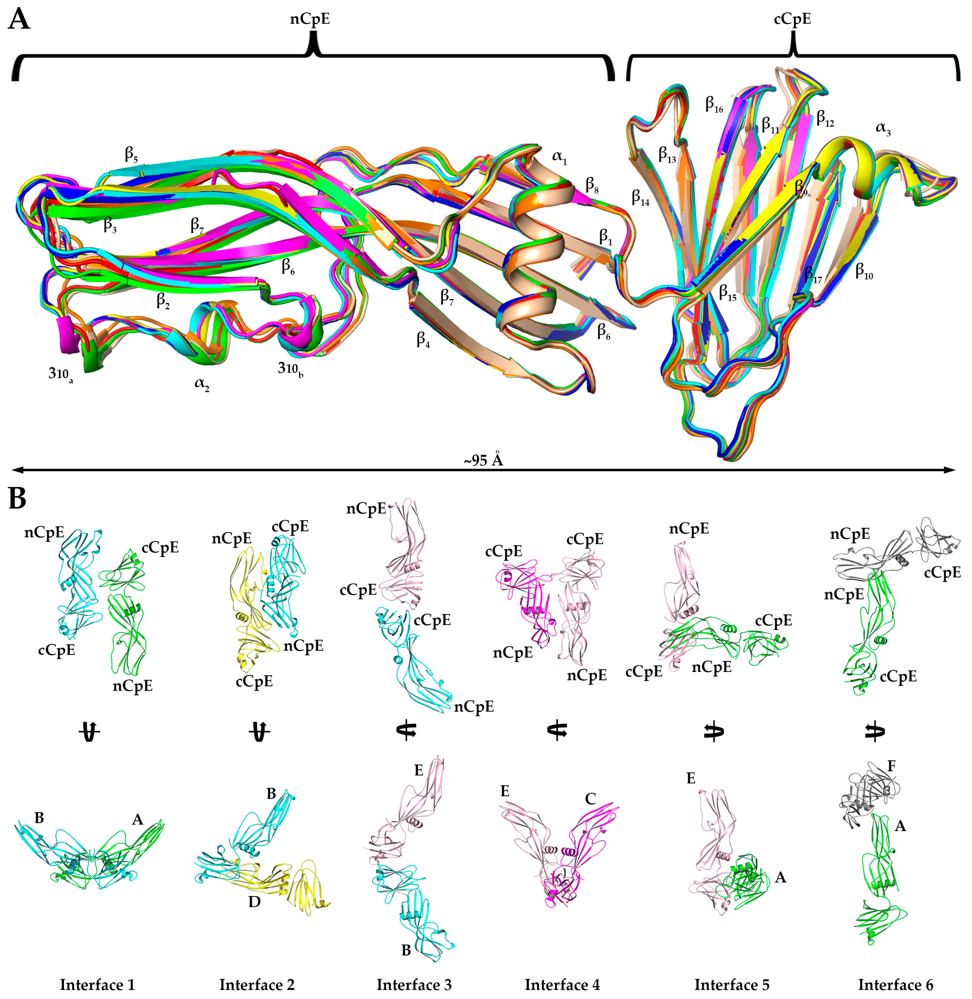 Toxins 15 00637 g003