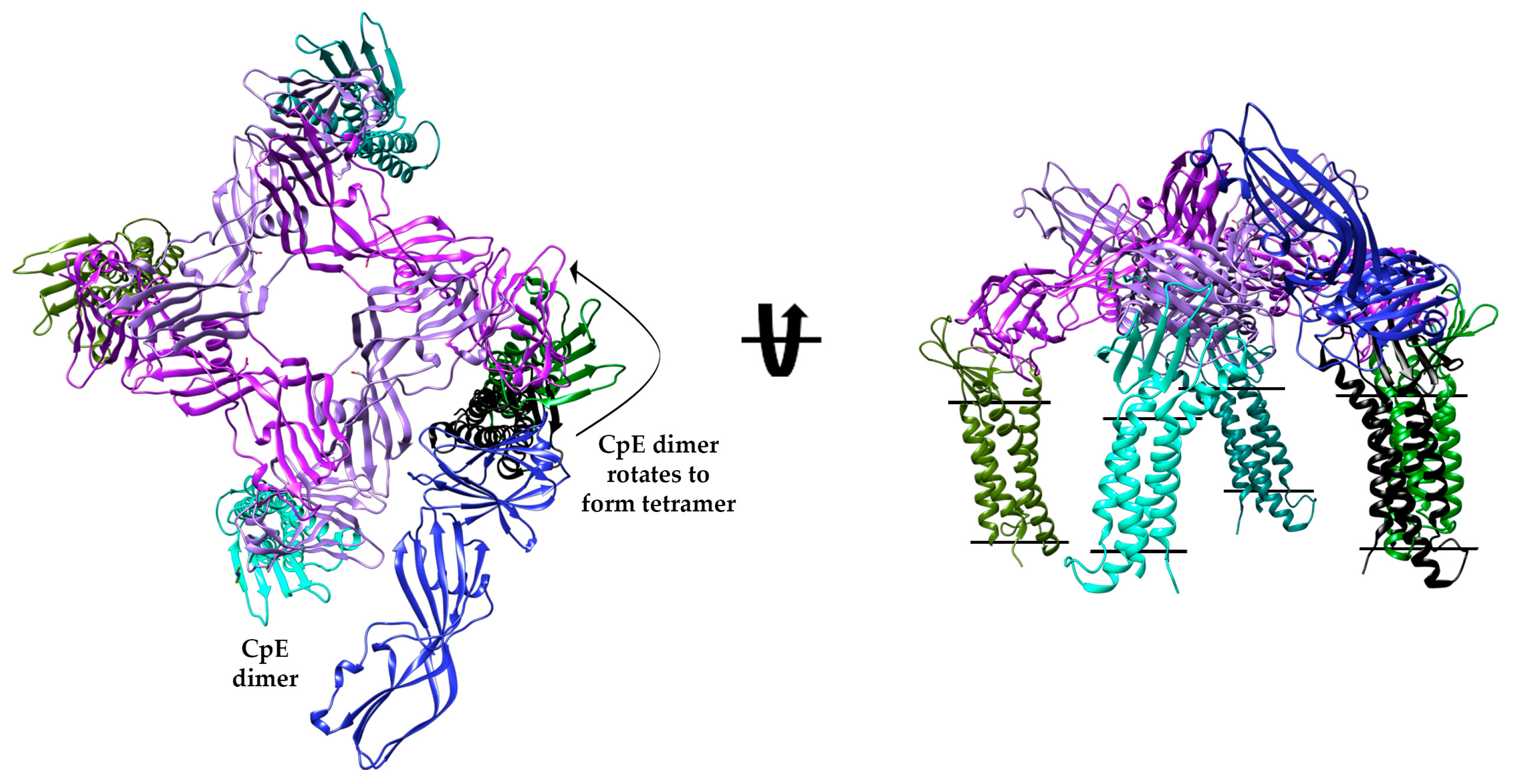 Toxins 15 00637 g006