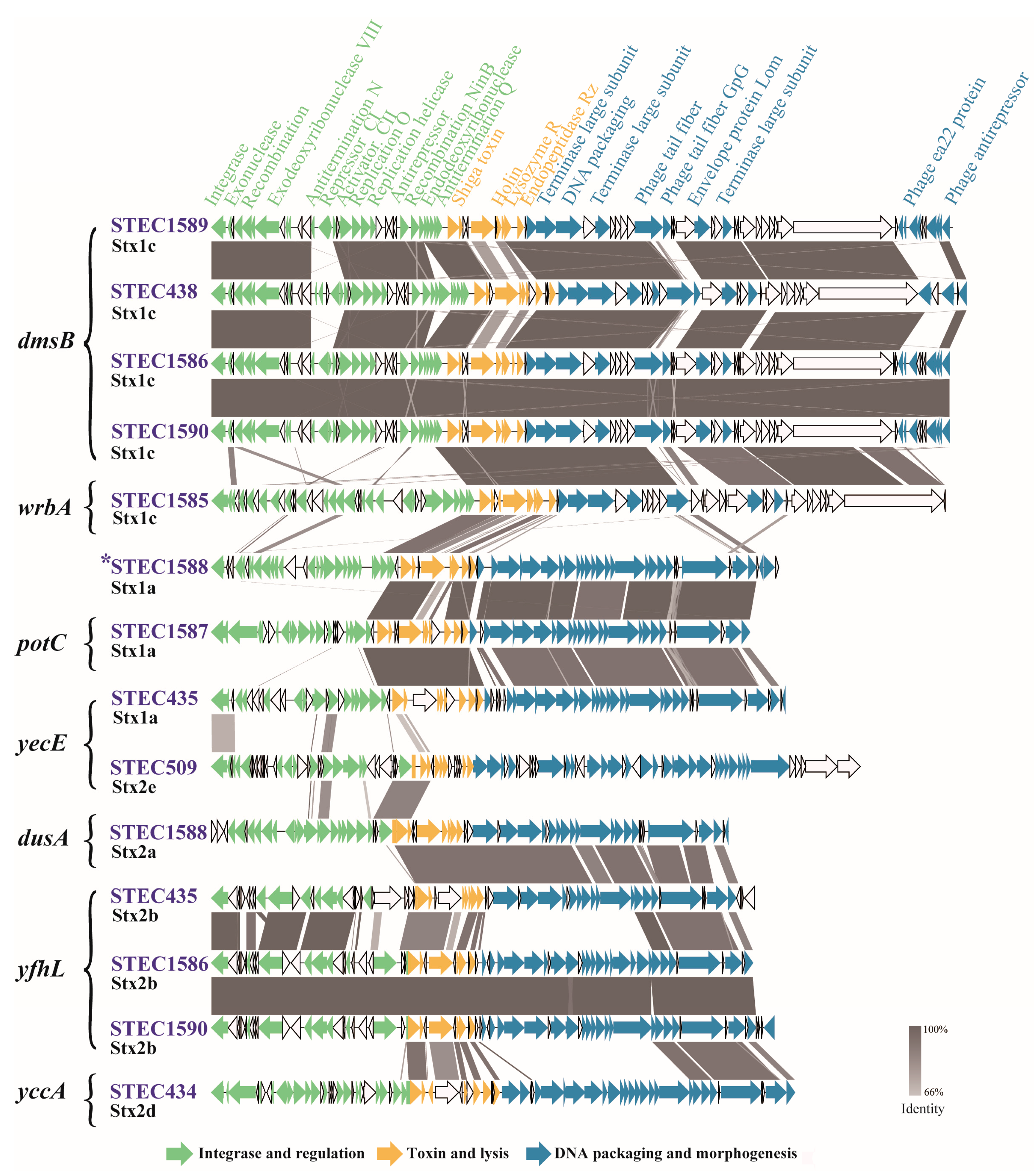 Toxins 15 00640 g001